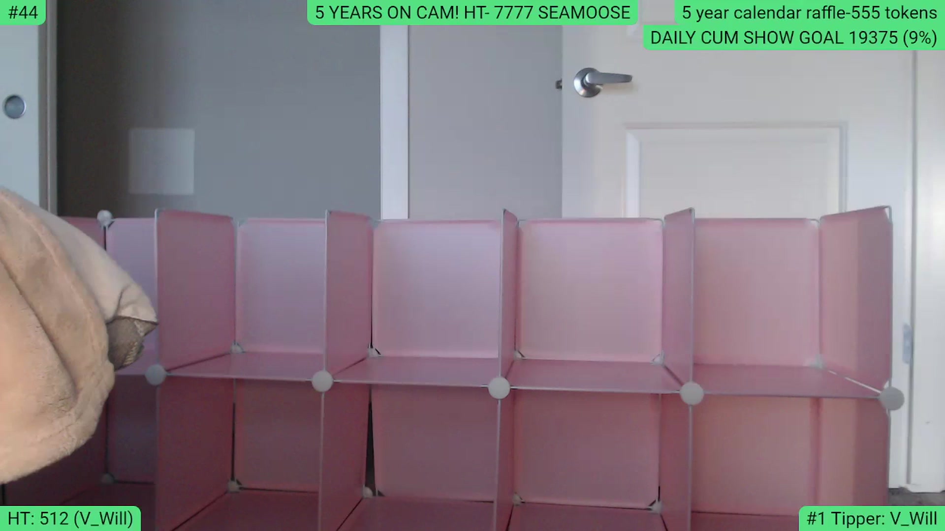 Gallery image thumbnail from AlexisW5years's myfreecams stream on, 11/04/2023, 23:20 image 5 of 20