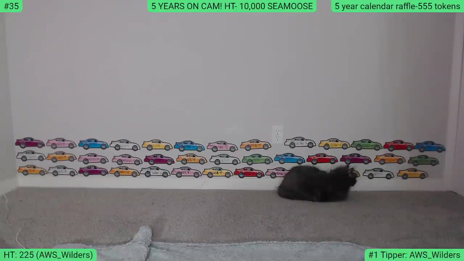 Gallery image thumbnail from AlexisW5years's myfreecams stream on, 11/11/2023, 03:38 image 5 of 20