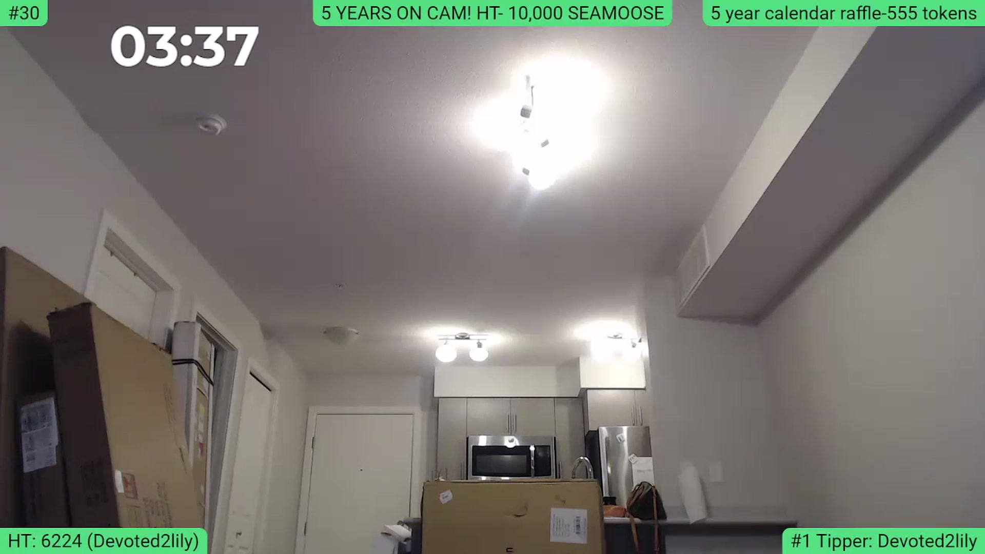 Gallery image thumbnail from AlexisW5years's myfreecams stream on, 11/12/2023, 01:46 image 19 of 20