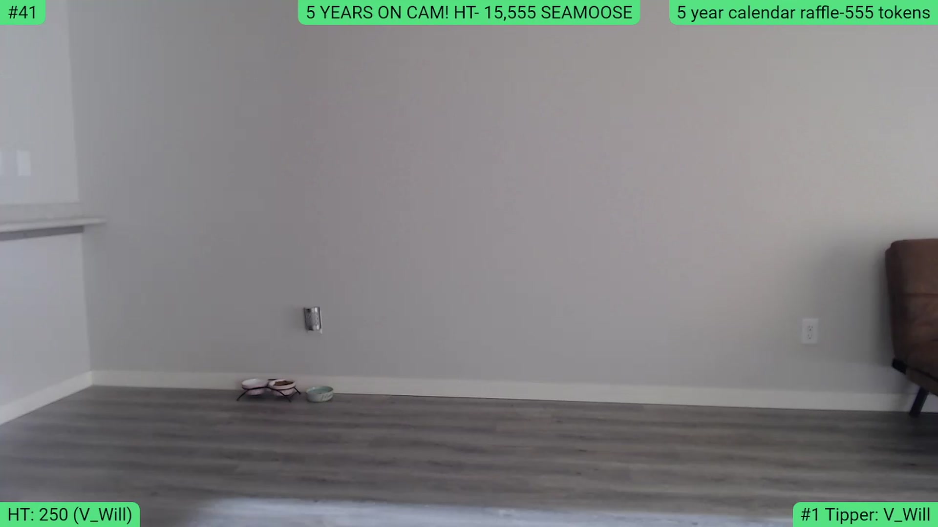 Gallery image thumbnail from AlexisW5years's myfreecams stream on, 11/23/2023, 20:15 image 8 of 20
