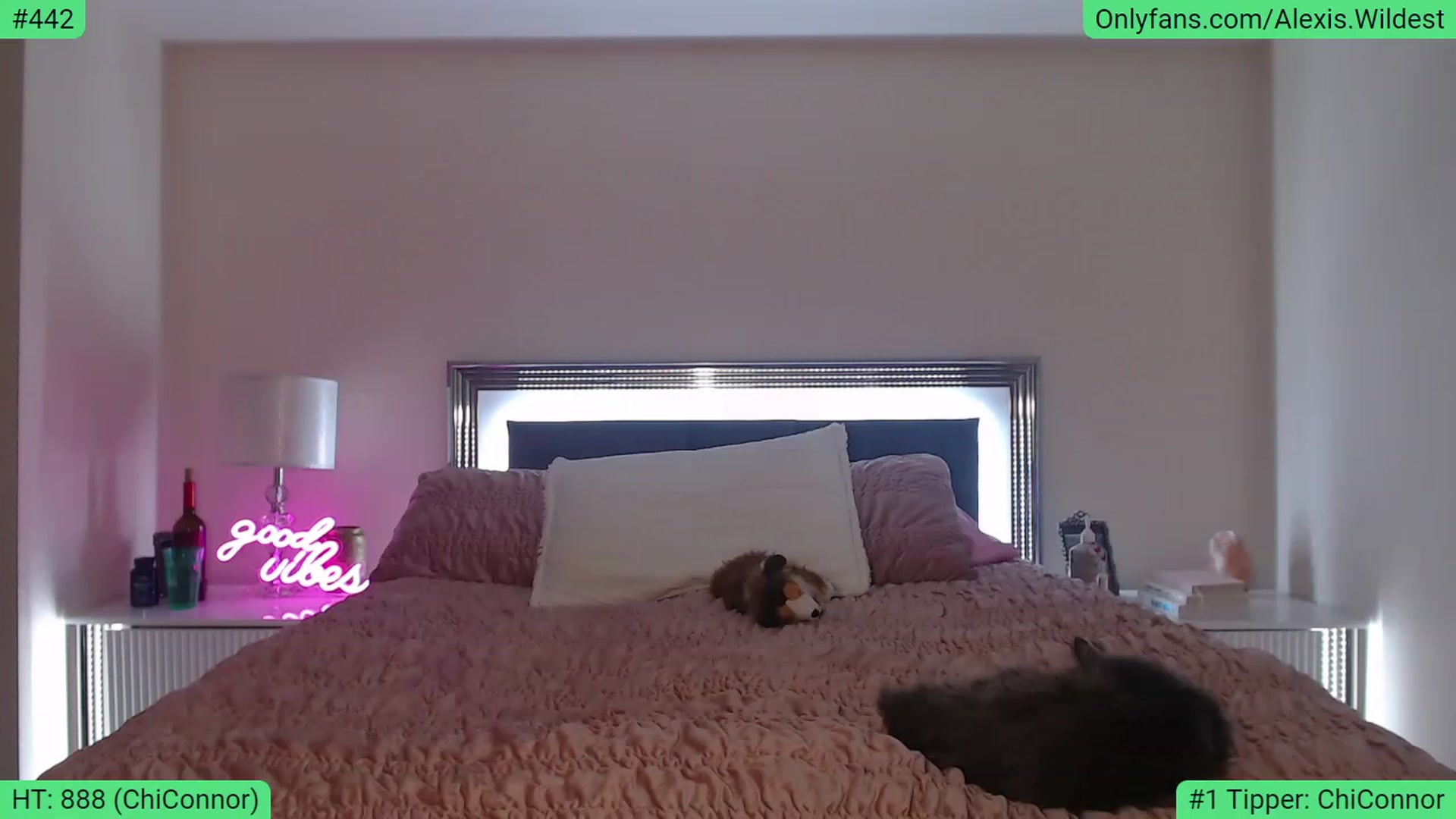 Gallery image thumbnail from AlexisWildest's myfreecams stream on, 01/21/2023, 04:37 image 7 of 20