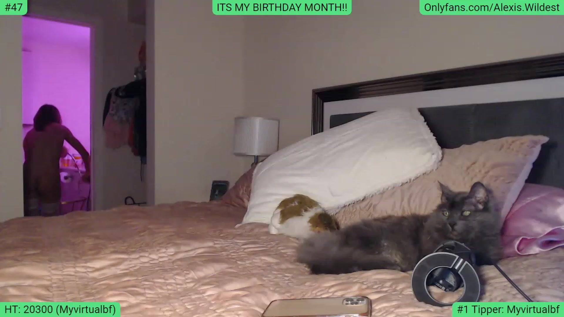 Gallery image thumbnail from AlexisWildest's myfreecams stream on, 02/04/2023, 03:20 image 2 of 20