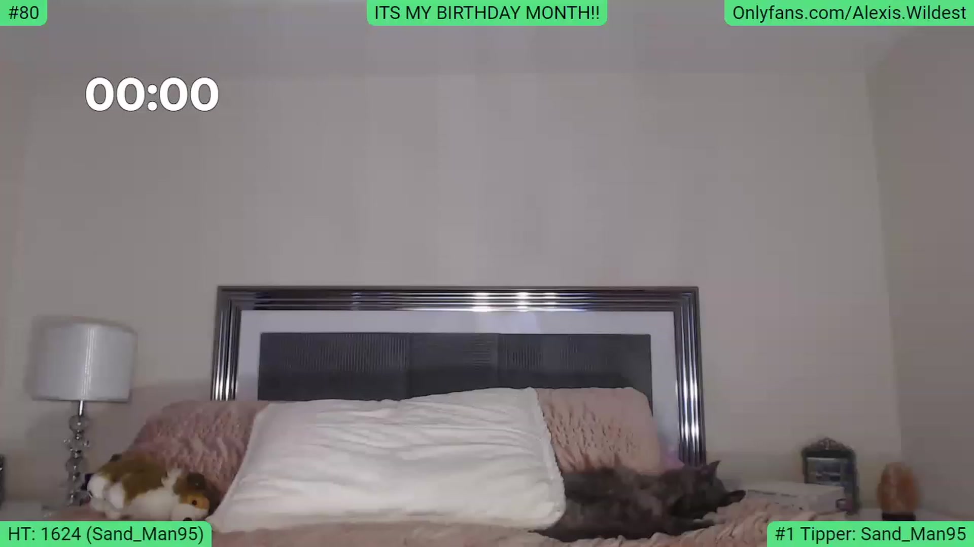Gallery image thumbnail from AlexisWildest's myfreecams stream on, 02/06/2023, 02:42 image 7 of 20