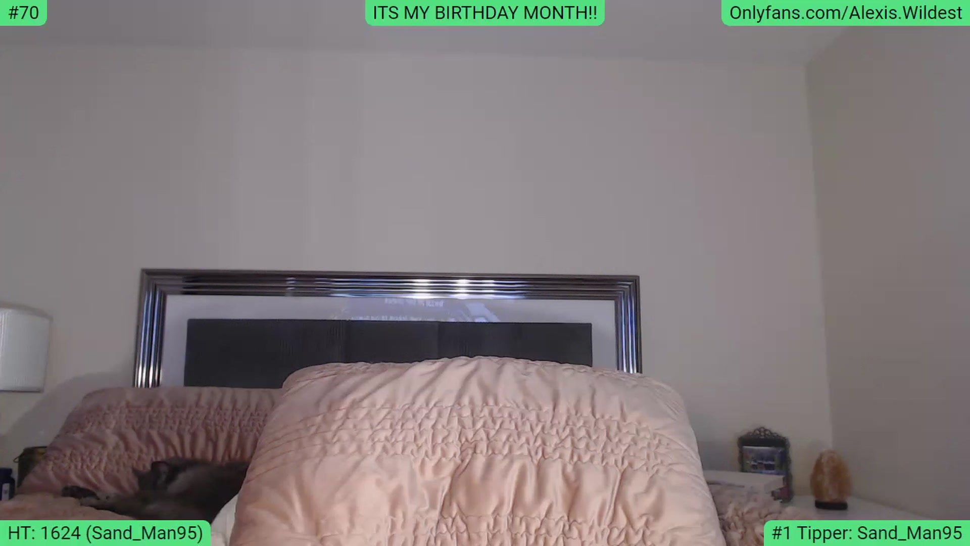 Gallery image thumbnail from AlexisWildest's myfreecams stream on, 02/06/2023, 03:08 image 18 of 20