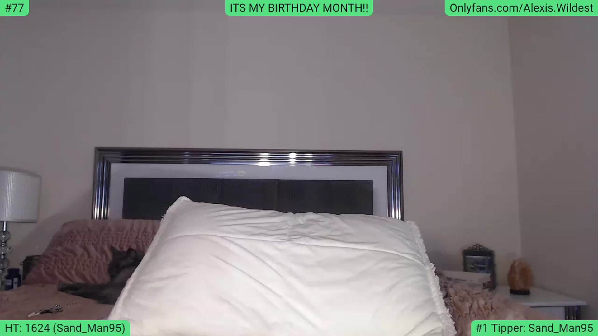 Gallery image thumbnail from AlexisWildest's myfreecams stream on, 02/06/2023, 03:08 image 8 of 20