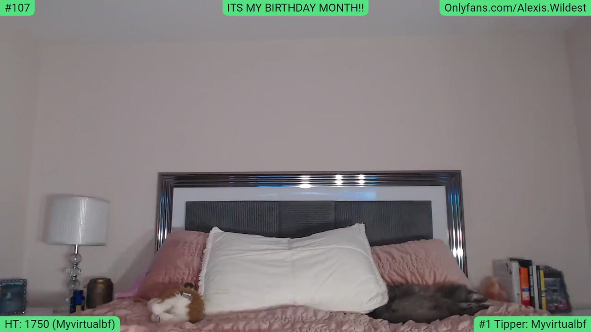 Gallery image thumbnail from AlexisWildest's myfreecams stream on, 02/11/2023, 02:32 image 11 of 20