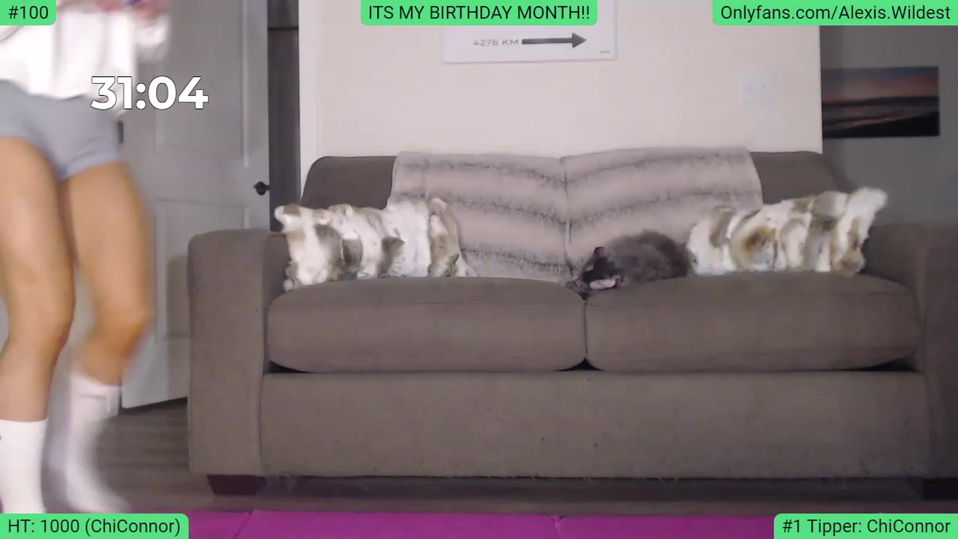 Gallery image thumbnail from AlexisWildest's myfreecams stream on, 02/14/2023, 02:10 image 9 of 20