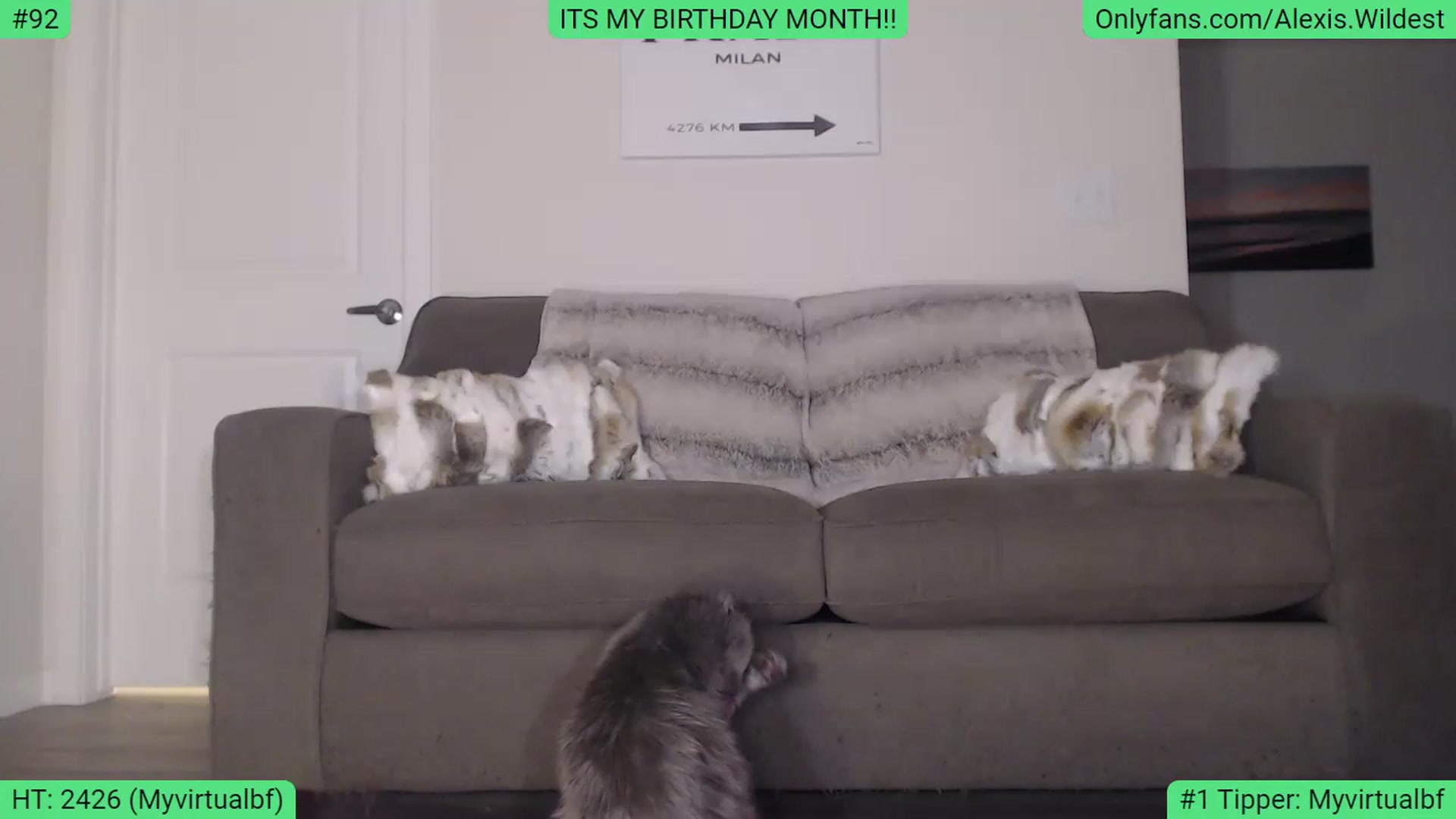 Gallery image thumbnail from AlexisWildest's myfreecams stream on, 02/14/2023, 02:10 image 15 of 20