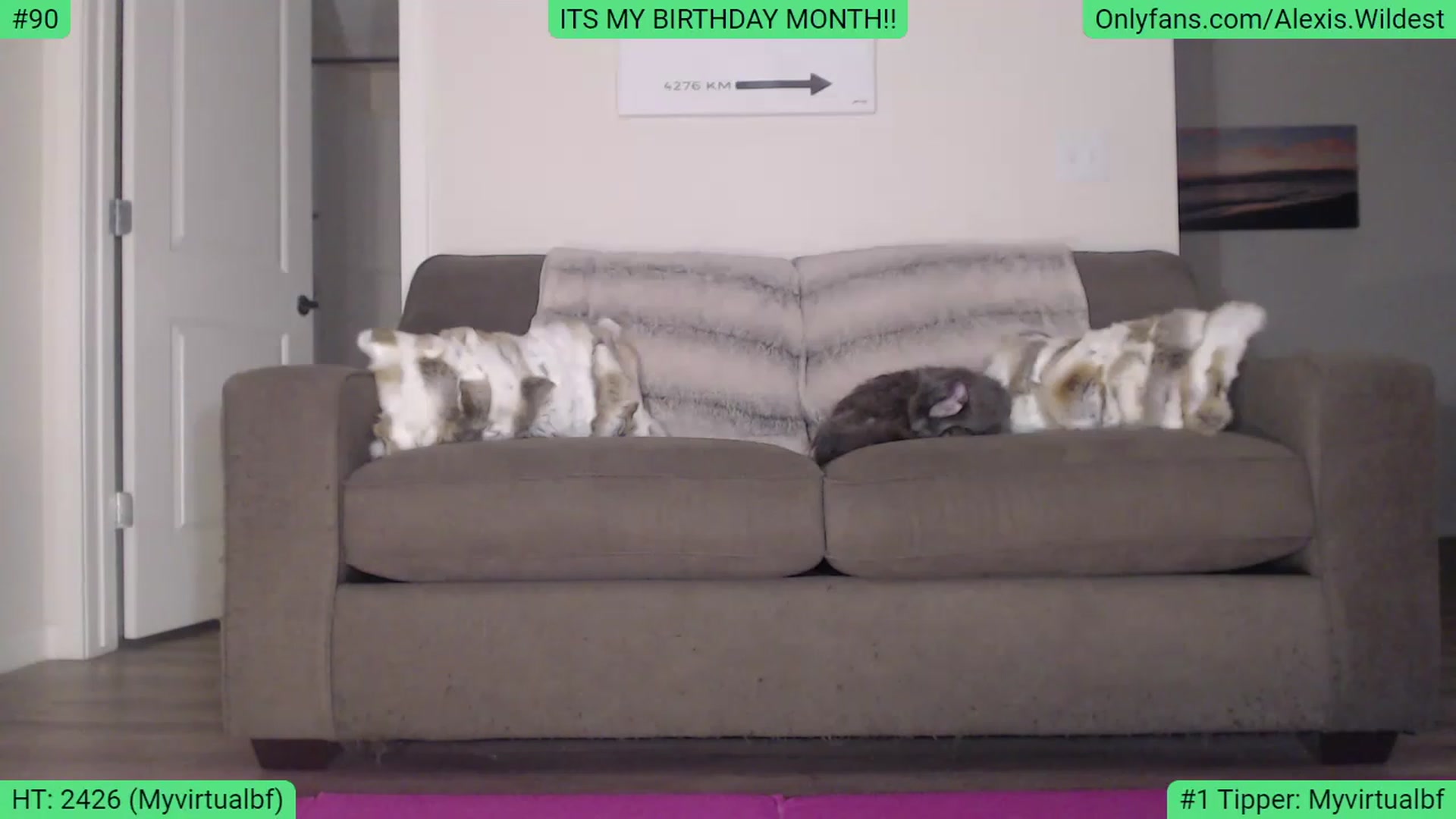 Gallery image thumbnail from AlexisWildest's myfreecams stream on, 02/14/2023, 03:14 image 4 of 20