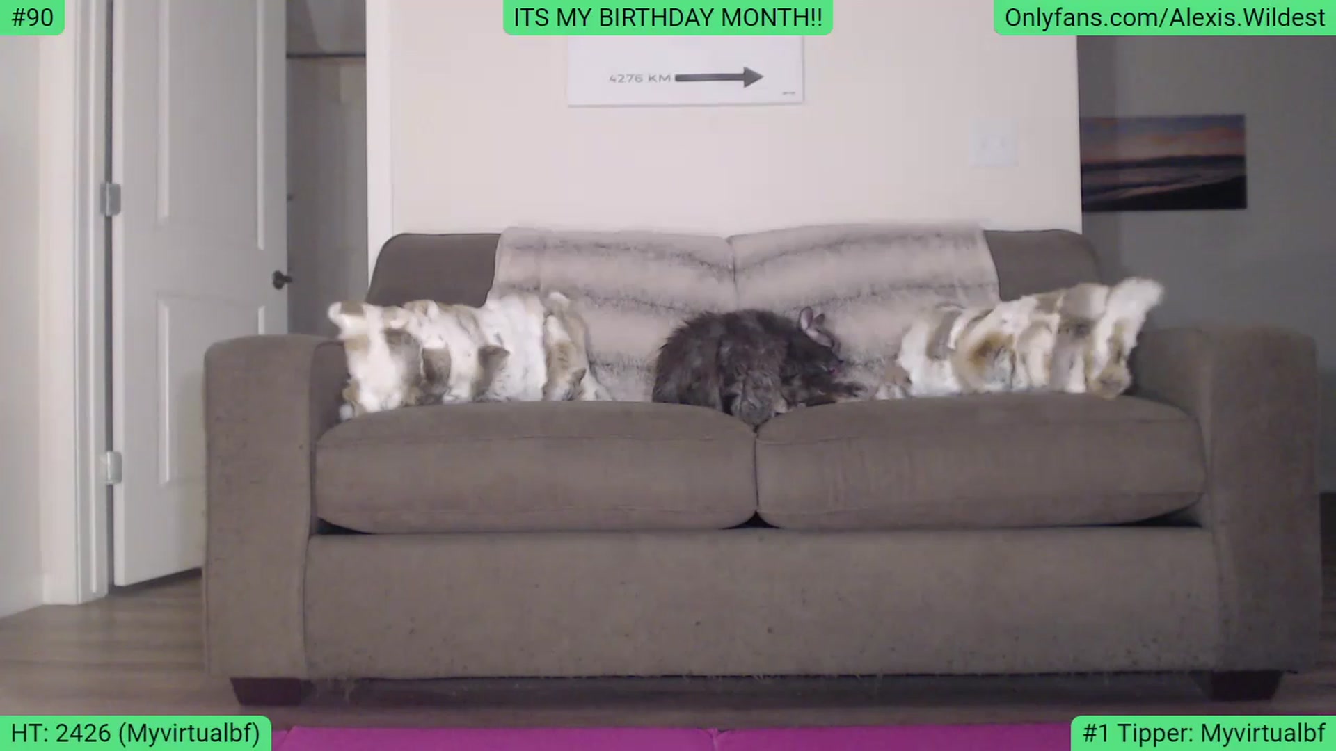 Gallery image thumbnail from AlexisWildest's myfreecams stream on, 02/14/2023, 03:14 image 3 of 20