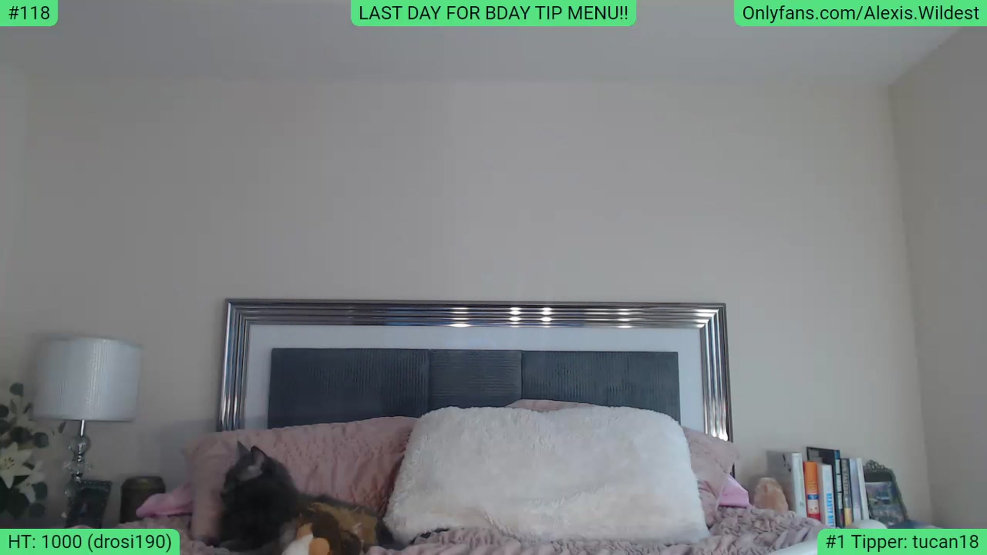 Gallery image thumbnail from AlexisWildest's myfreecams stream on, 02/27/2023, 21:31 image 13 of 20