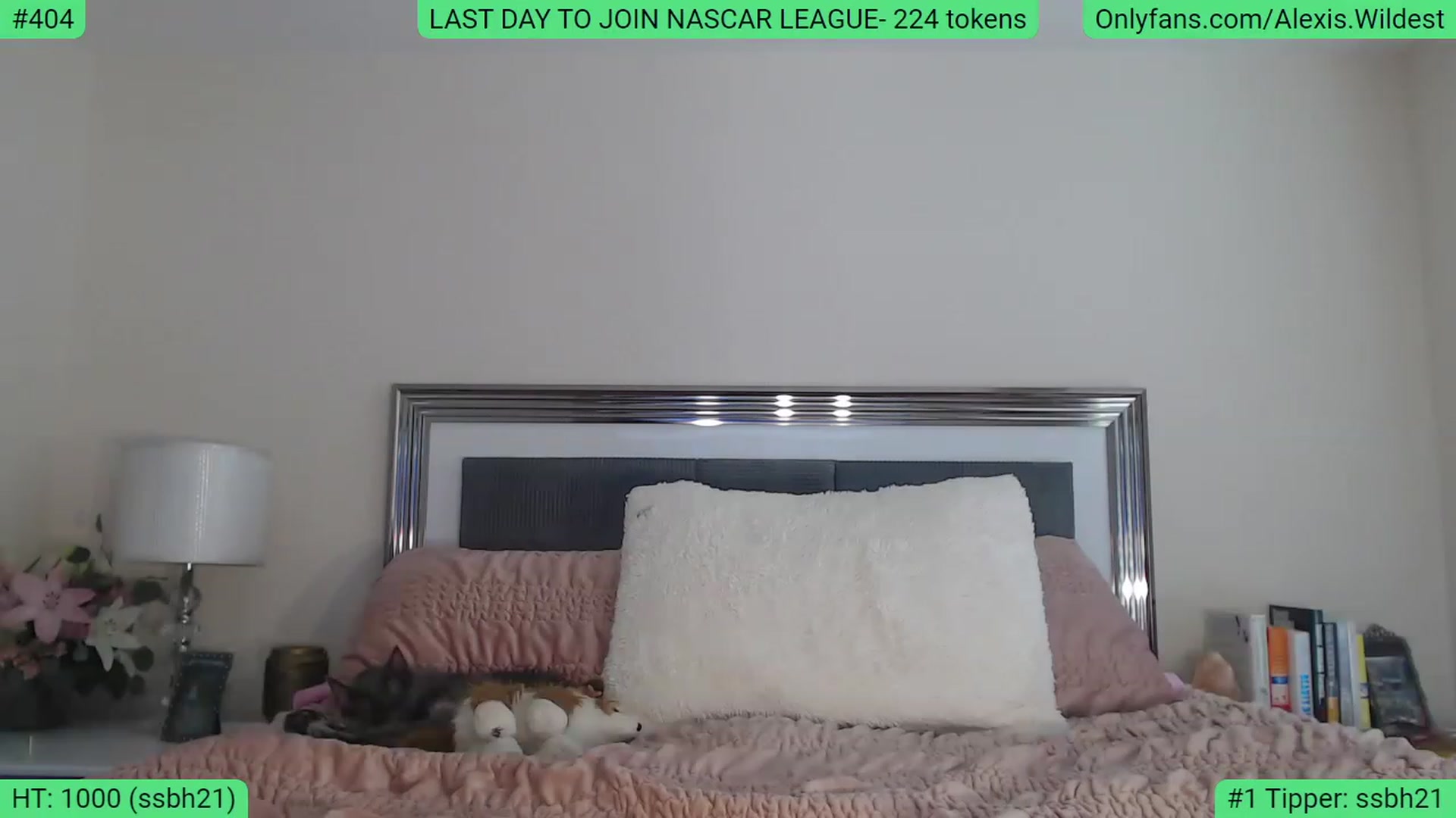 Gallery image thumbnail from AlexisWildest's myfreecams stream on, 03/01/2023, 19:49 image 16 of 20