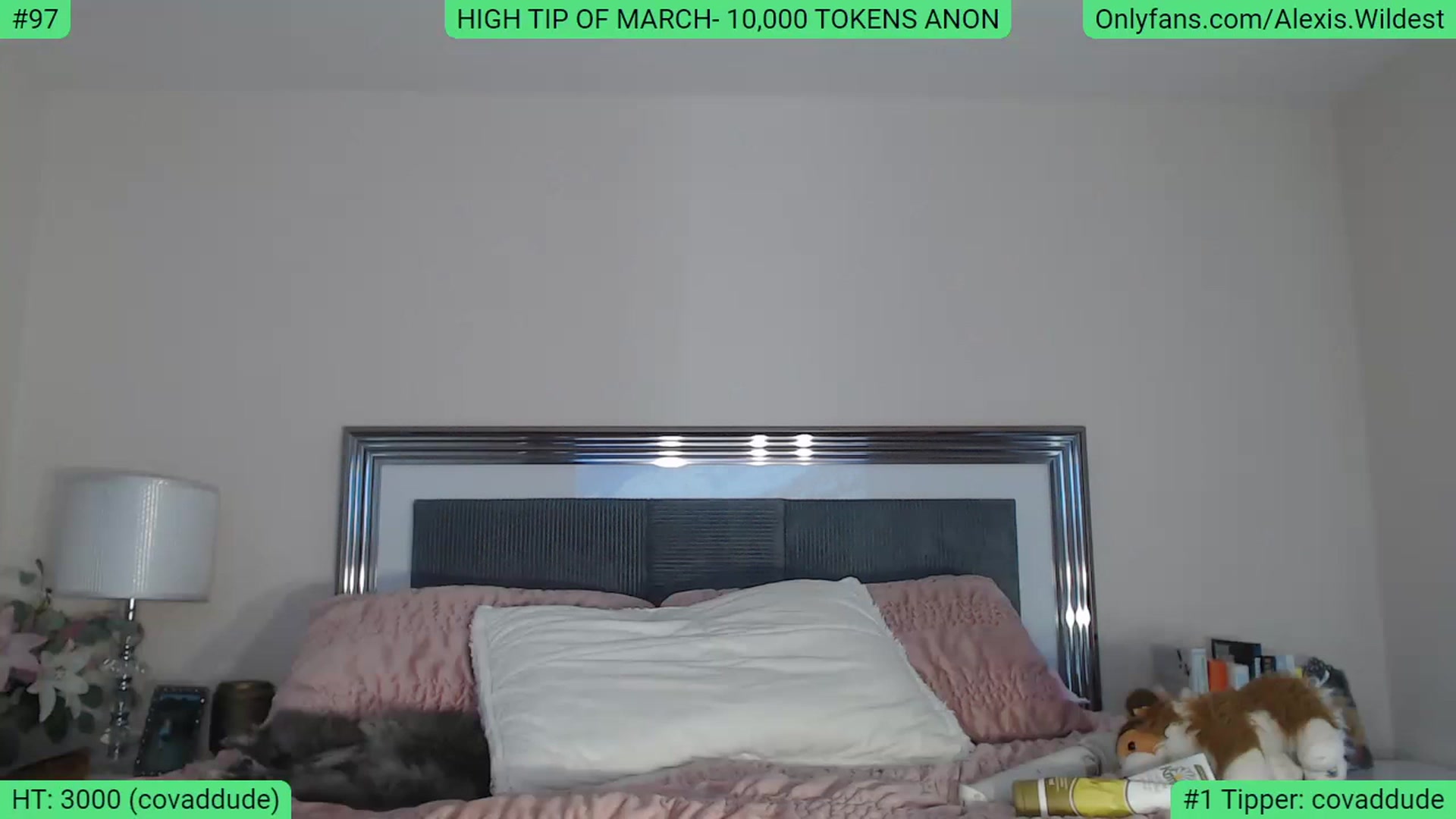 Gallery image thumbnail from AlexisWildest's myfreecams stream on, 03/04/2023, 19:15 image 11 of 20
