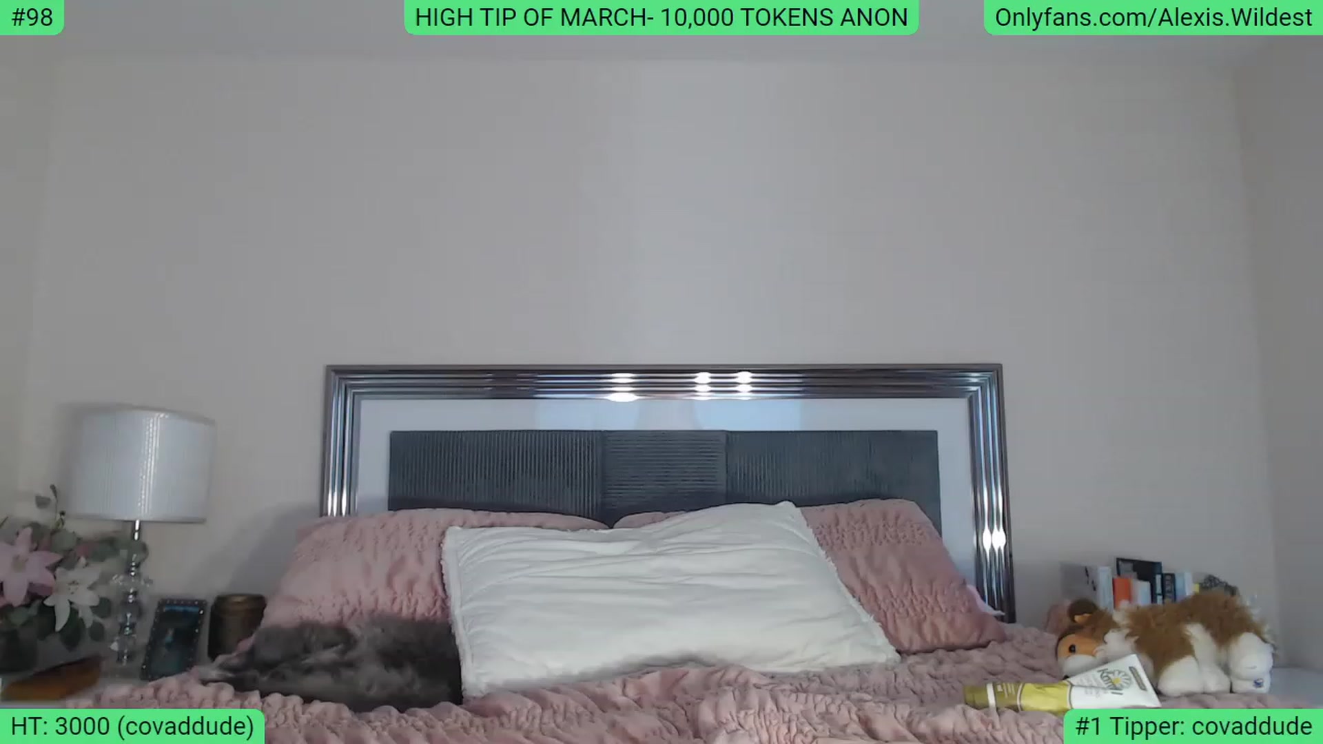 Gallery image thumbnail from AlexisWildest's myfreecams stream on, 03/04/2023, 19:15 image 10 of 20