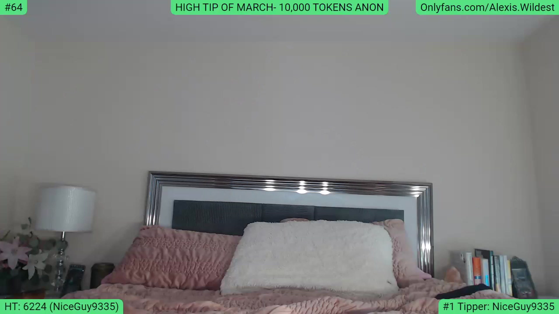 Gallery image thumbnail from AlexisWildest's myfreecams stream on, 03/05/2023, 22:51 image 10 of 20