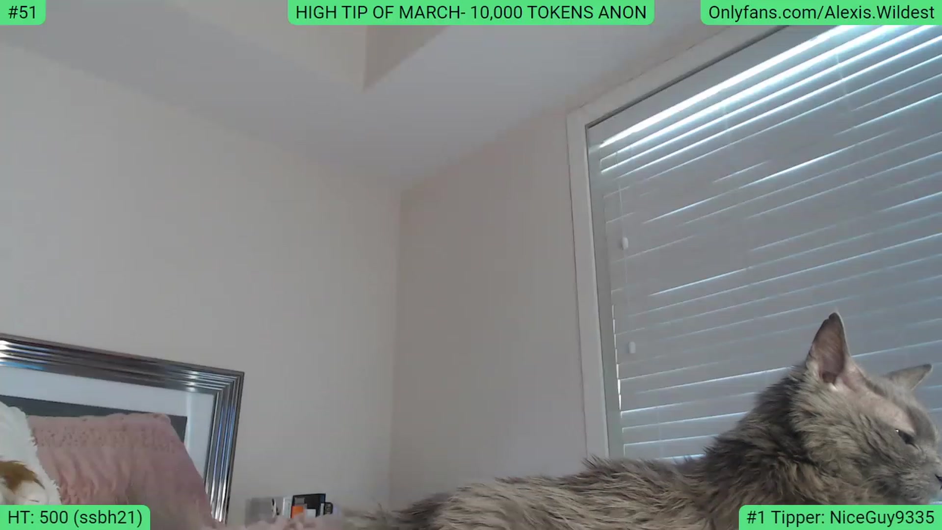 Gallery image thumbnail from AlexisWildest's myfreecams stream on, 03/06/2023, 18:47 image 13 of 20