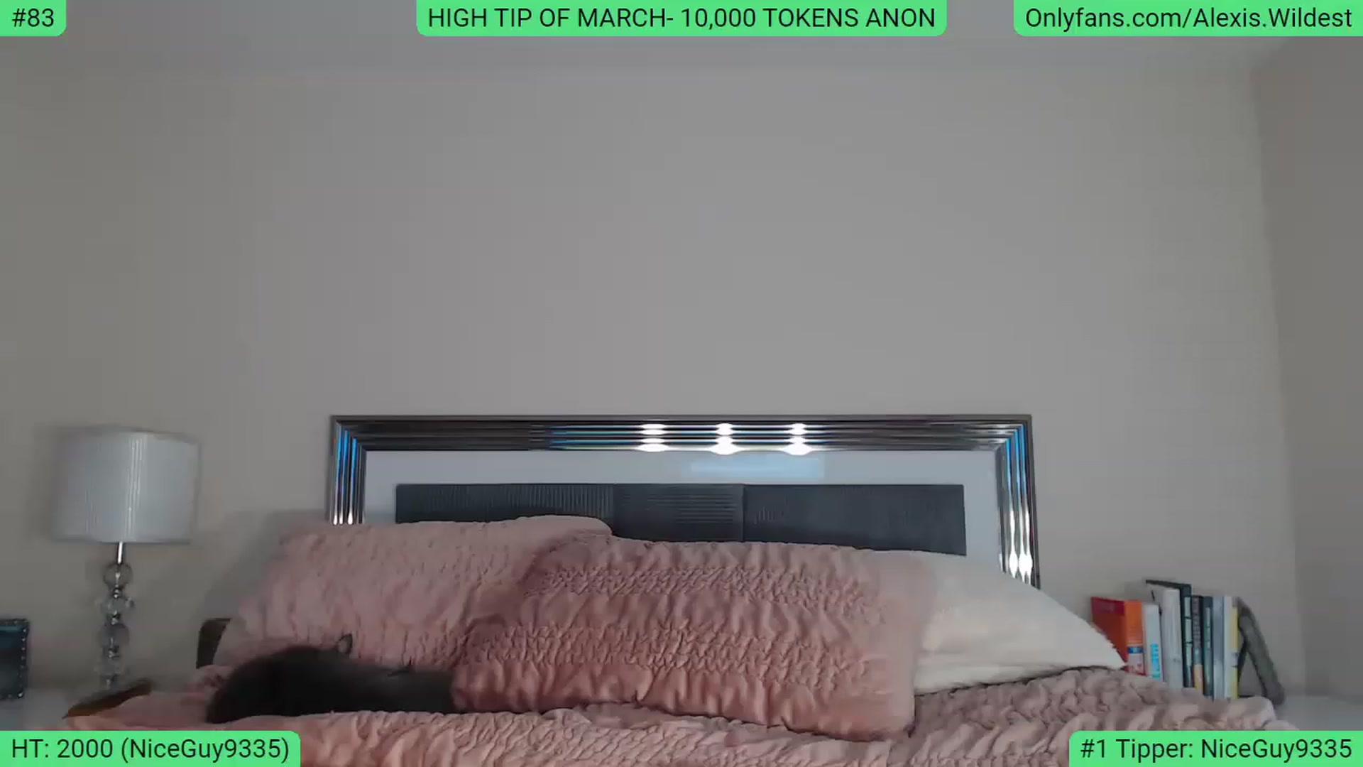 Gallery image thumbnail from AlexisWildest's myfreecams stream on, 03/10/2023, 20:23 image 18 of 20