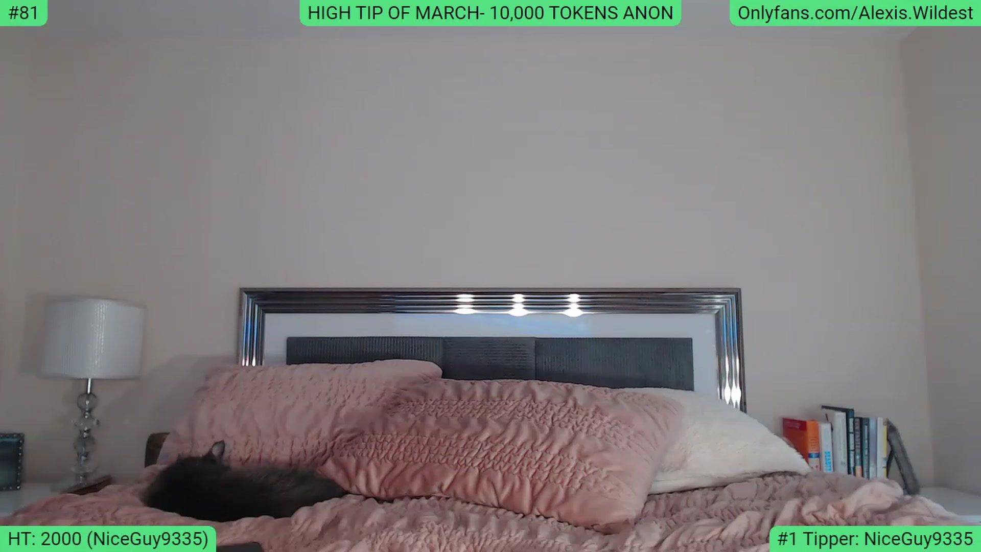 Gallery image thumbnail from AlexisWildest's myfreecams stream on, 03/10/2023, 21:03 image 8 of 20