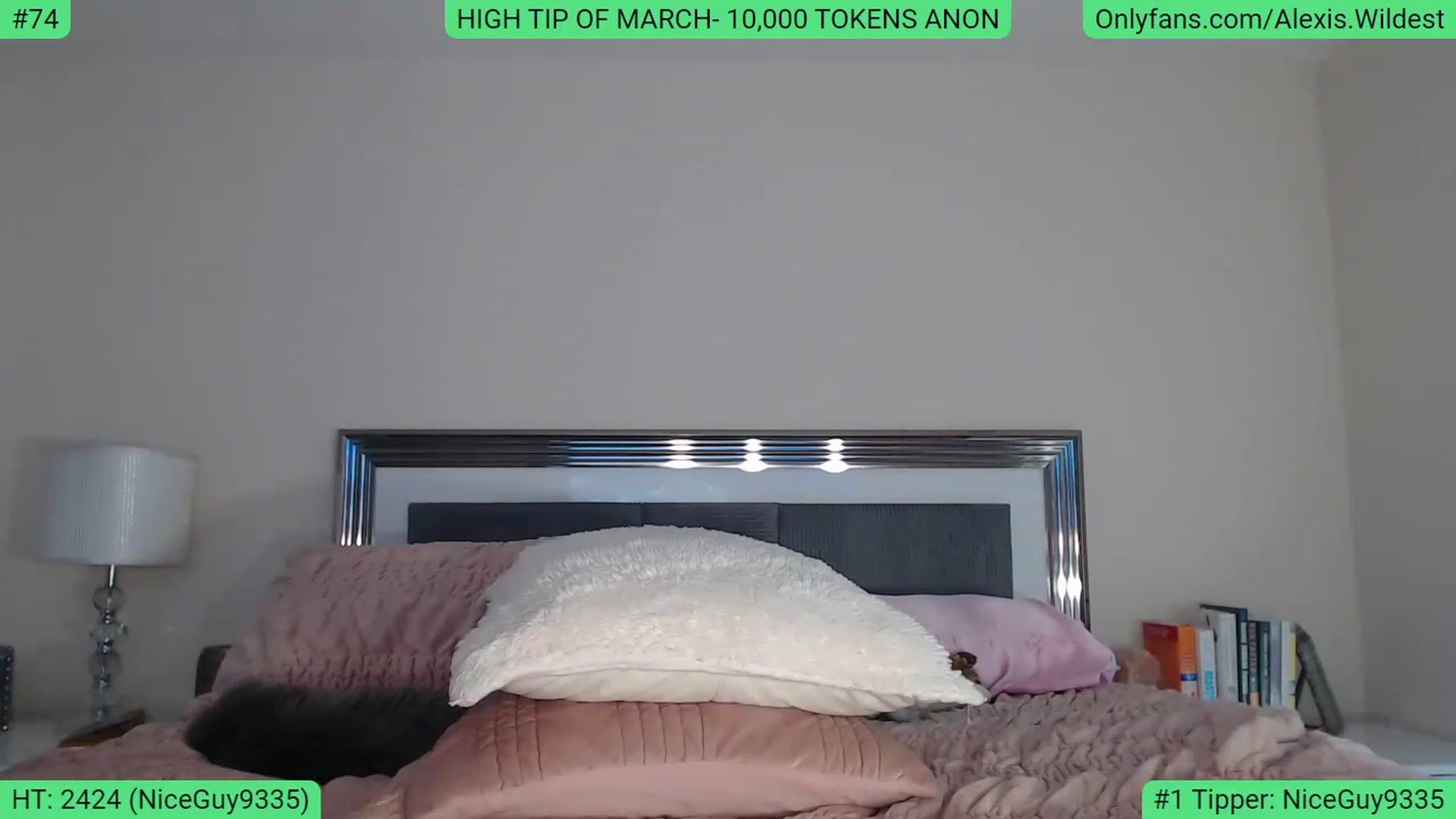 Gallery image thumbnail from AlexisWildest's myfreecams stream on, 03/10/2023, 21:03 image 18 of 20