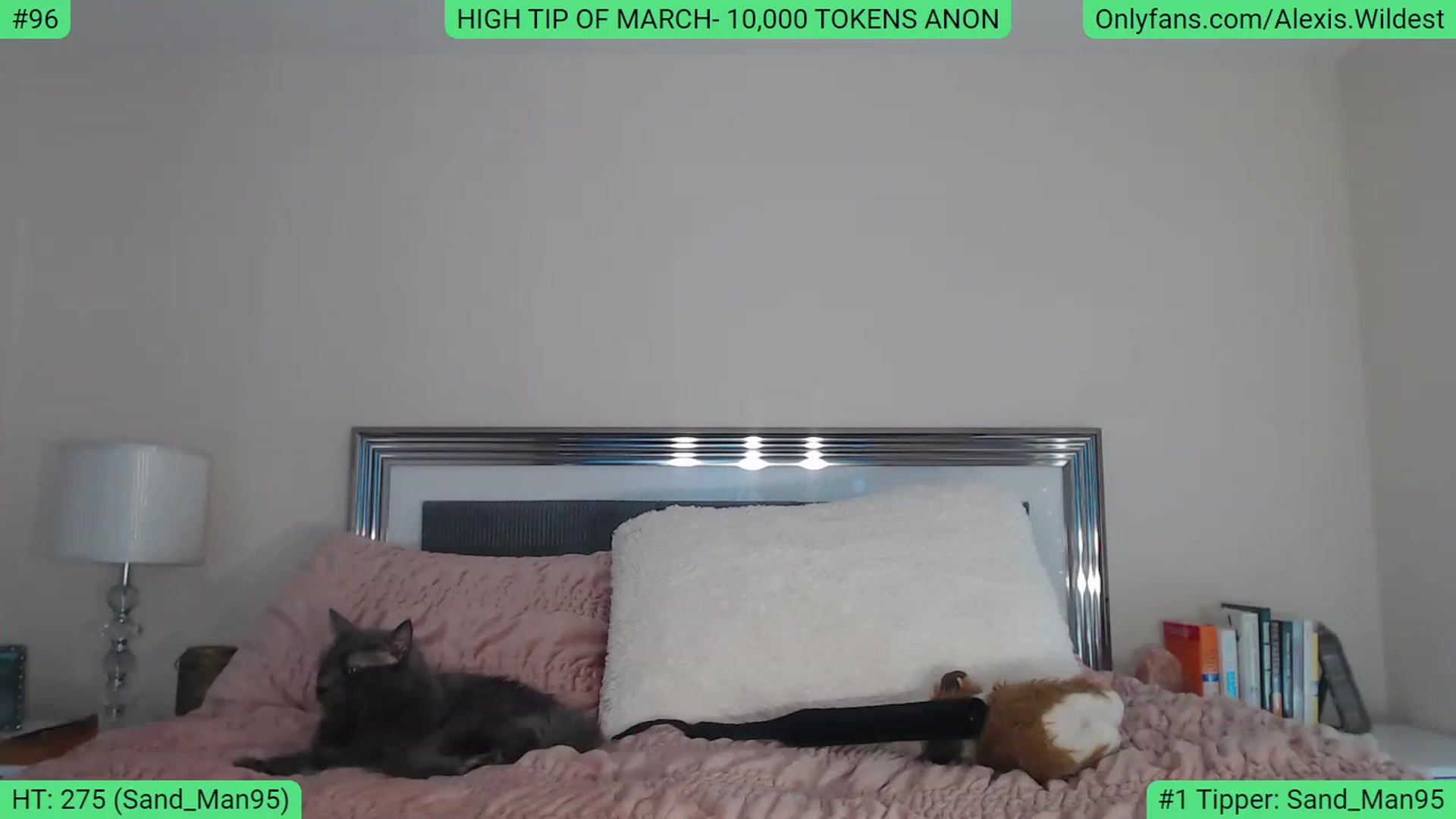 Gallery image thumbnail from AlexisWildest's myfreecams stream on, 03/11/2023, 17:46 image 18 of 20