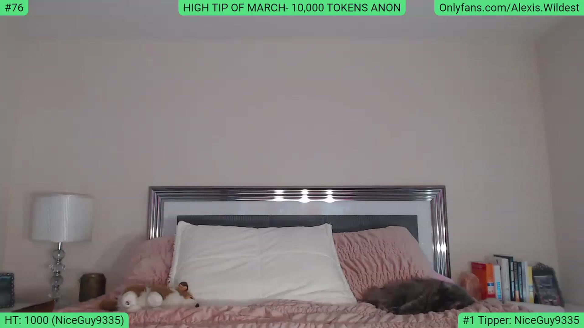 Gallery image thumbnail from AlexisWildest's myfreecams stream on, 03/15/2023, 19:16 image 19 of 20