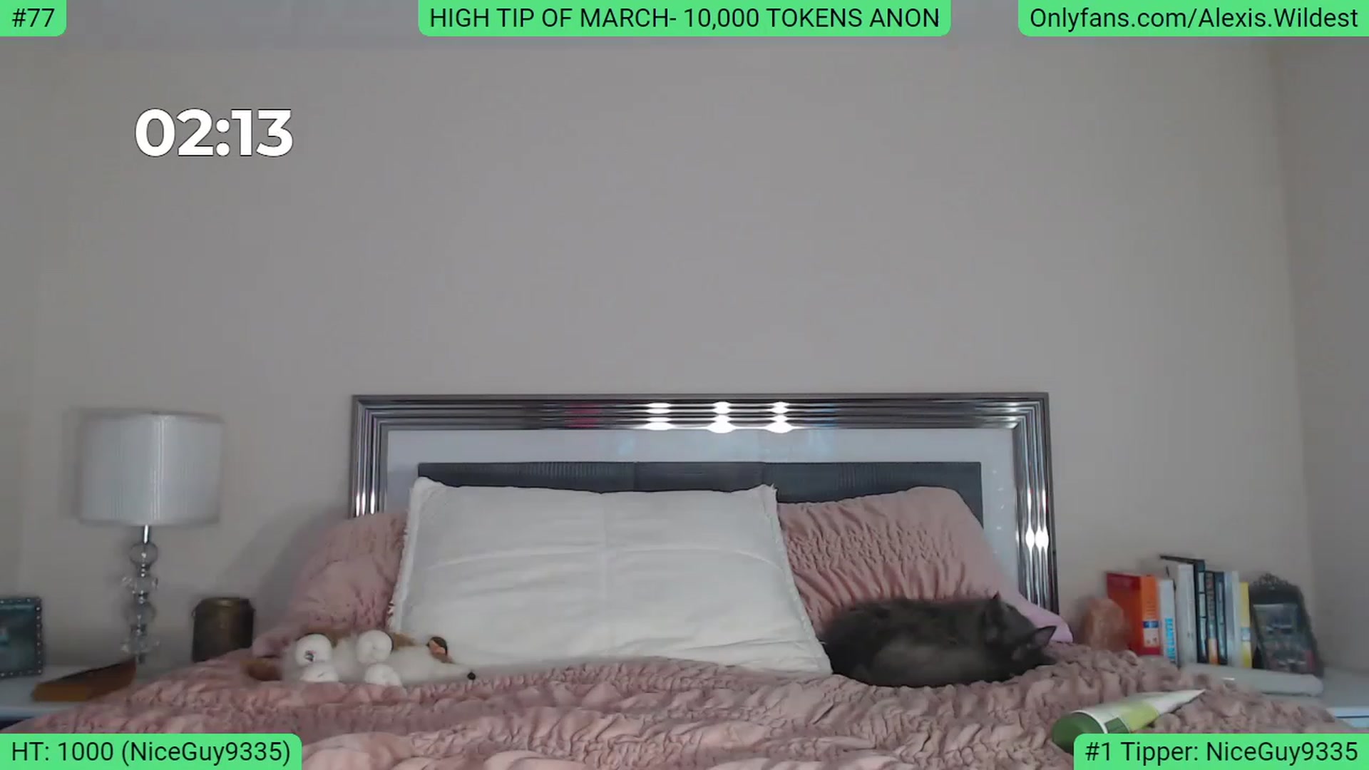 Gallery image thumbnail from AlexisWildest's myfreecams stream on, 03/15/2023, 20:31 image 2 of 20