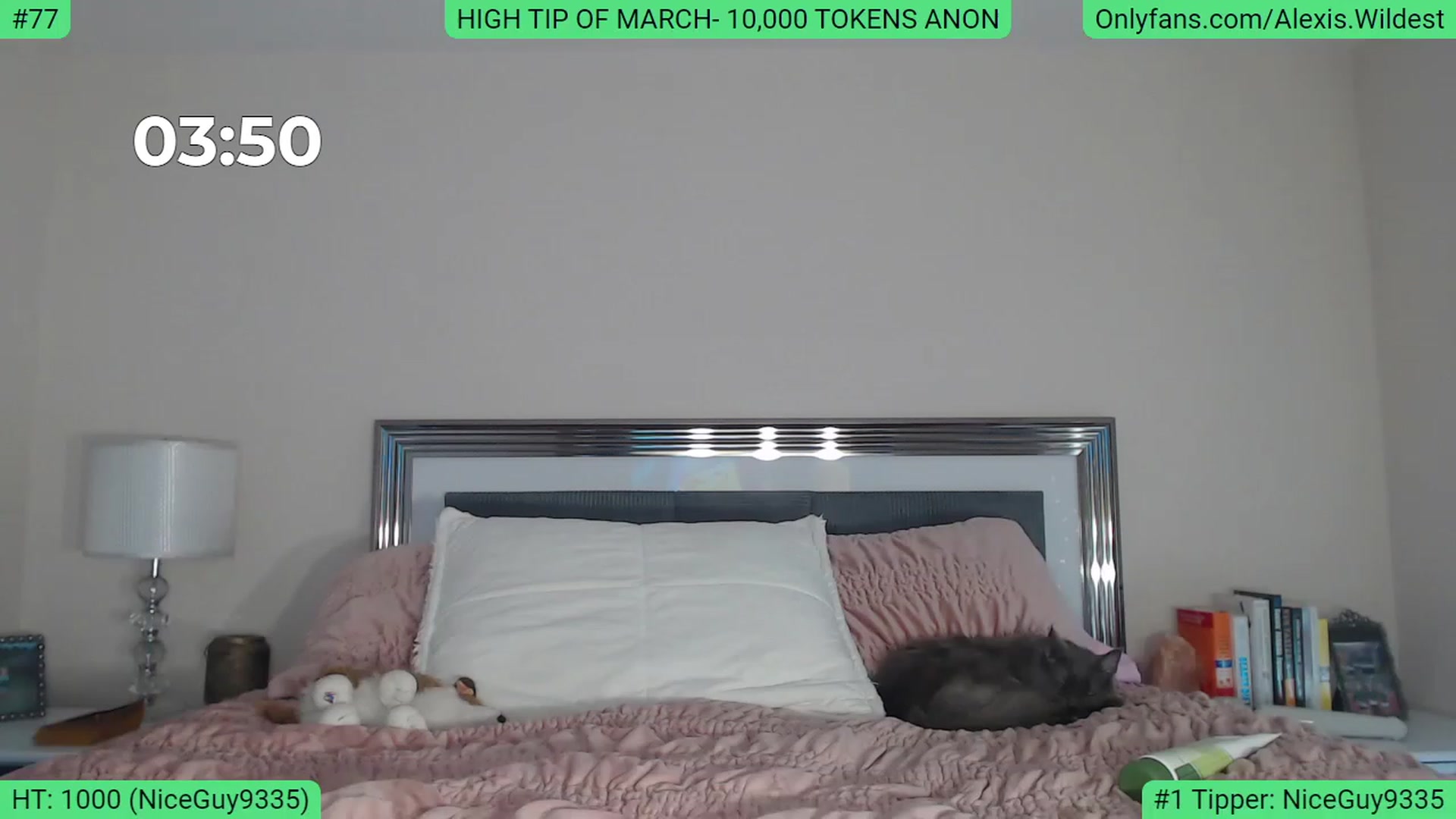 Gallery image thumbnail from AlexisWildest's myfreecams stream on, 03/15/2023, 20:31 image 1 of 20