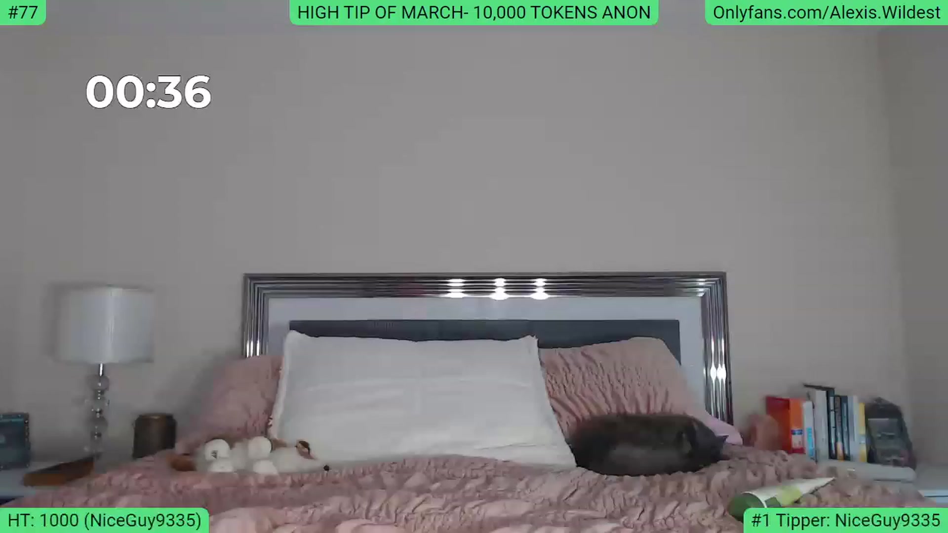 Gallery image thumbnail from AlexisWildest's myfreecams stream on, 03/15/2023, 20:31 image 3 of 20