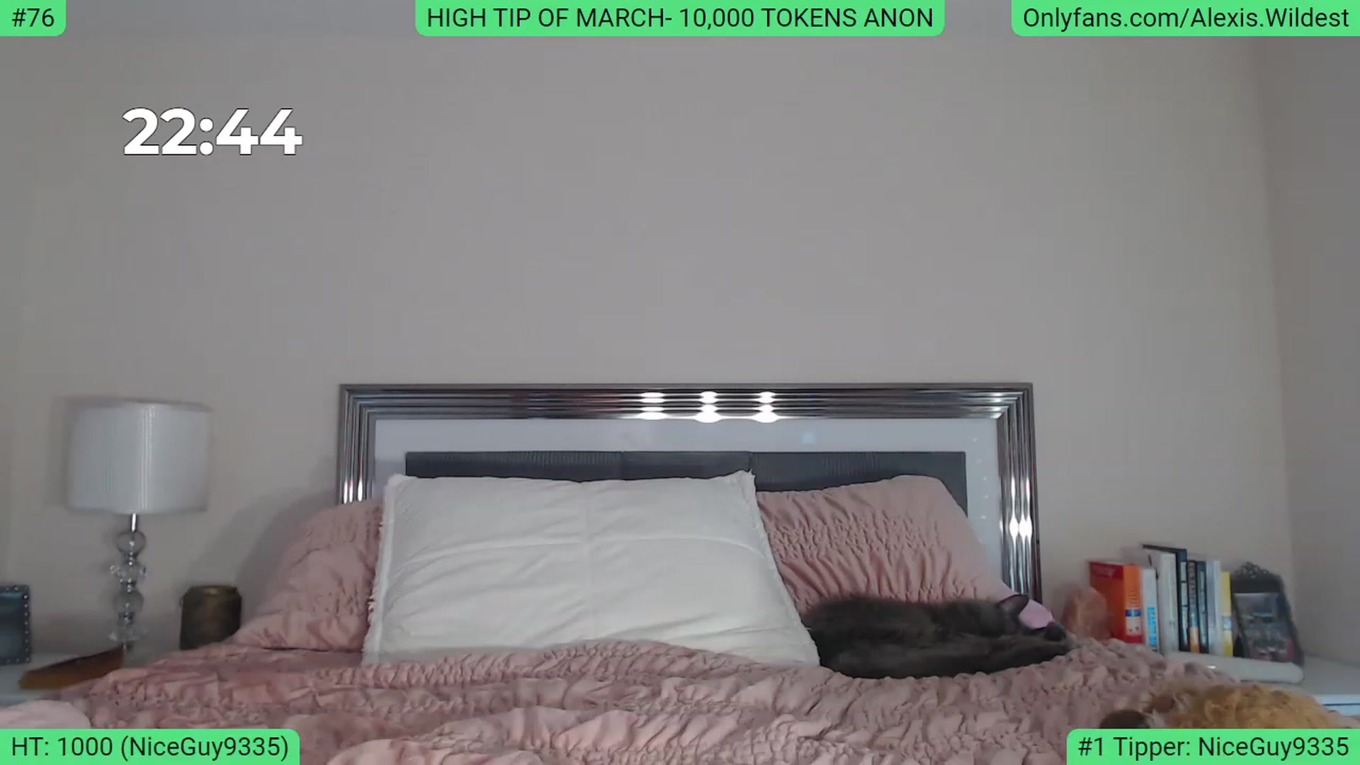 Gallery image thumbnail from AlexisWildest's myfreecams stream on, 03/15/2023, 21:05 image 8 of 20