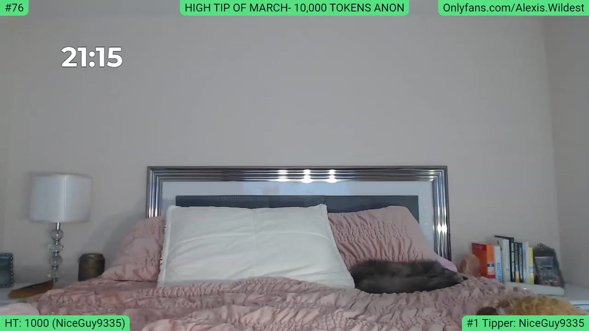 Gallery image thumbnail from AlexisWildest's myfreecams stream on, 03/15/2023, 21:05 image 9 of 20