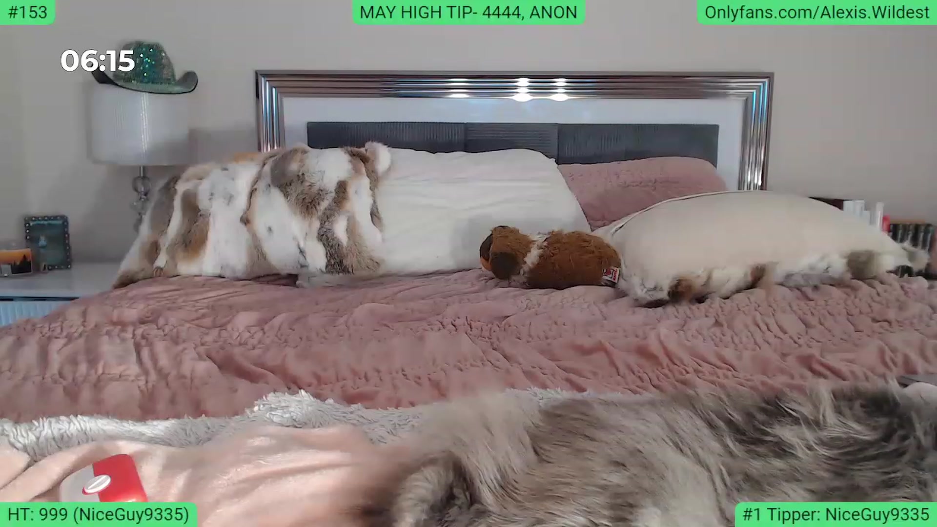Gallery image thumbnail from AlexisWildest's myfreecams stream on, 05/04/2023, 02:26 image 12 of 20