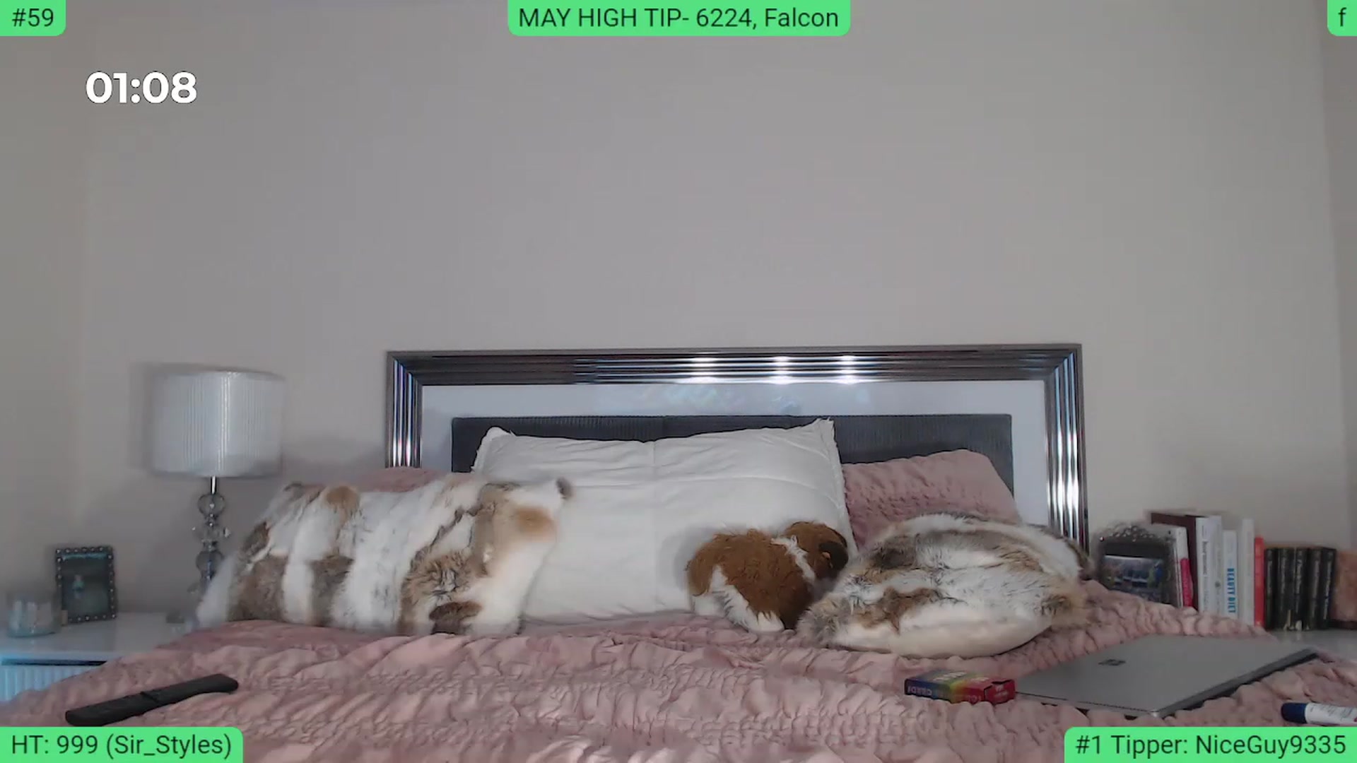 Gallery image thumbnail from AlexisWildest's myfreecams stream on, 05/11/2023, 04:06 image 20 of 20