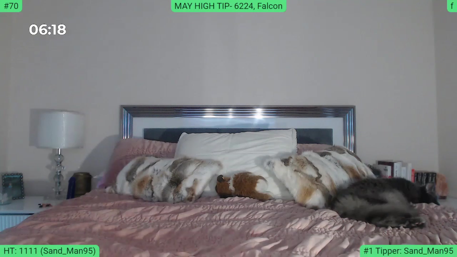 Gallery image thumbnail from AlexisWildest's myfreecams stream on, 05/13/2023, 03:56 image 20 of 20