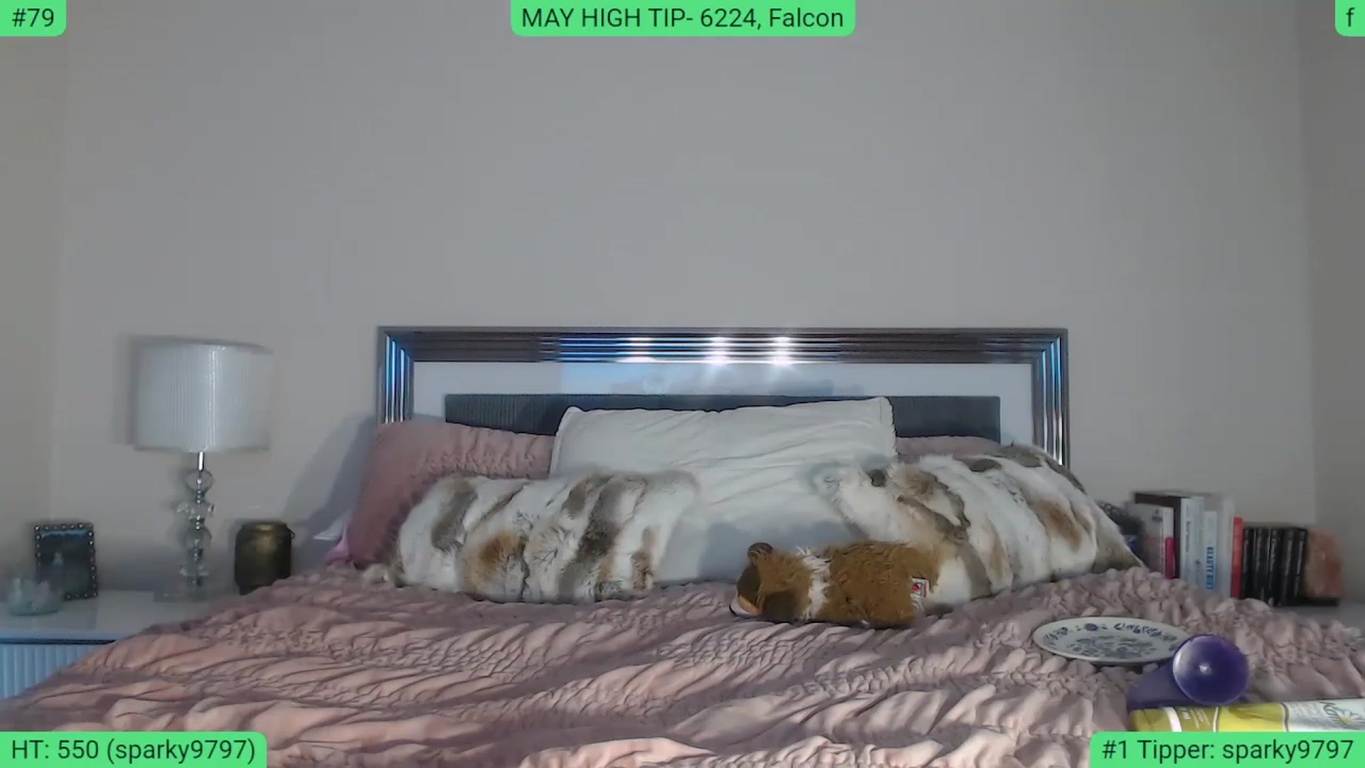 Gallery image thumbnail from AlexisWildest's myfreecams stream on, 05/13/2023, 03:56 image 2 of 20