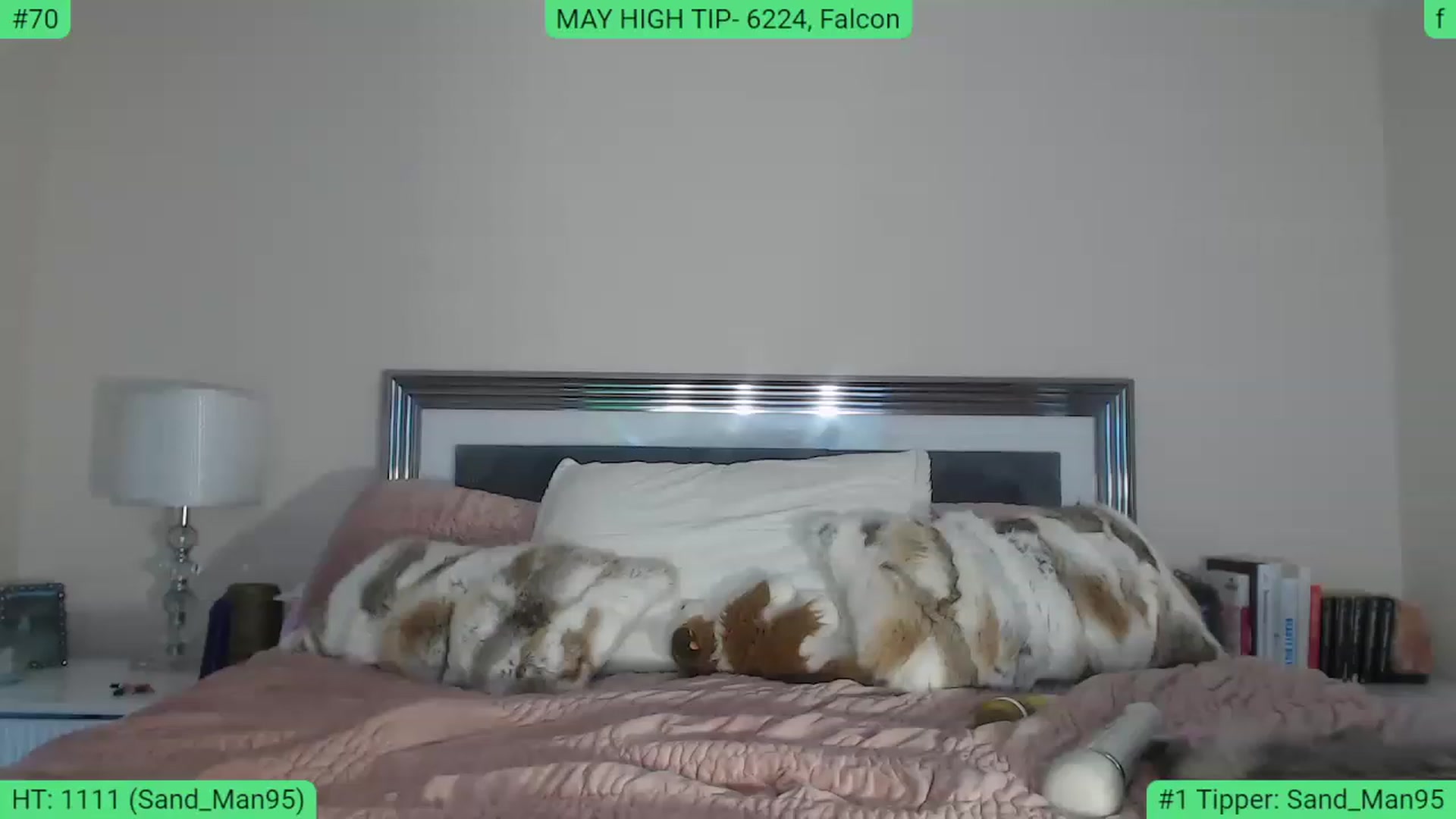 Gallery image thumbnail from AlexisWildest's myfreecams stream on, 05/13/2023, 05:52 image 15 of 20