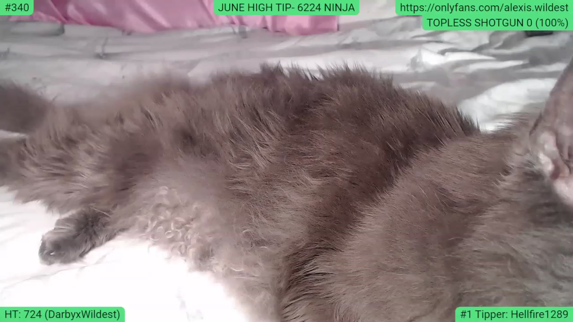 Gallery image thumbnail from AlexisWildest's myfreecams stream on, 06/27/2023, 04:23 image 6 of 20