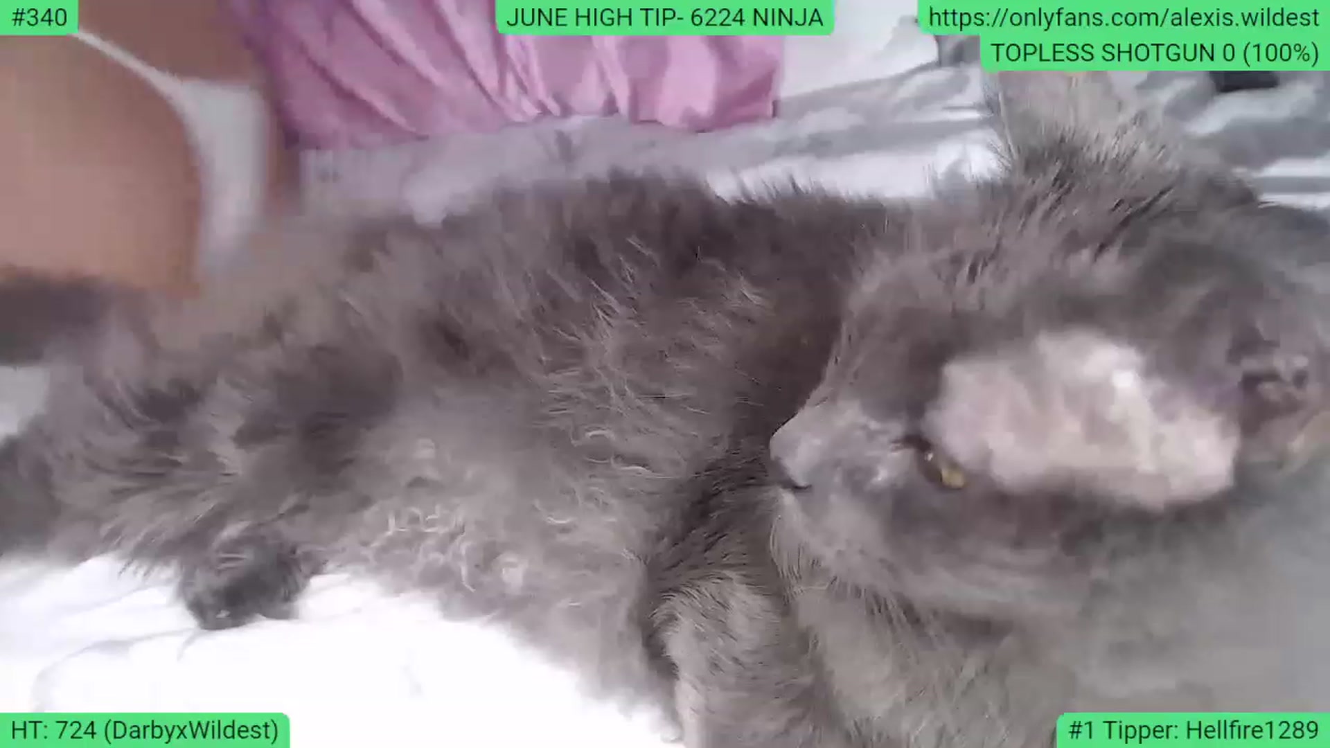 Gallery image thumbnail from AlexisWildest's myfreecams stream on, 06/27/2023, 04:23 image 5 of 20