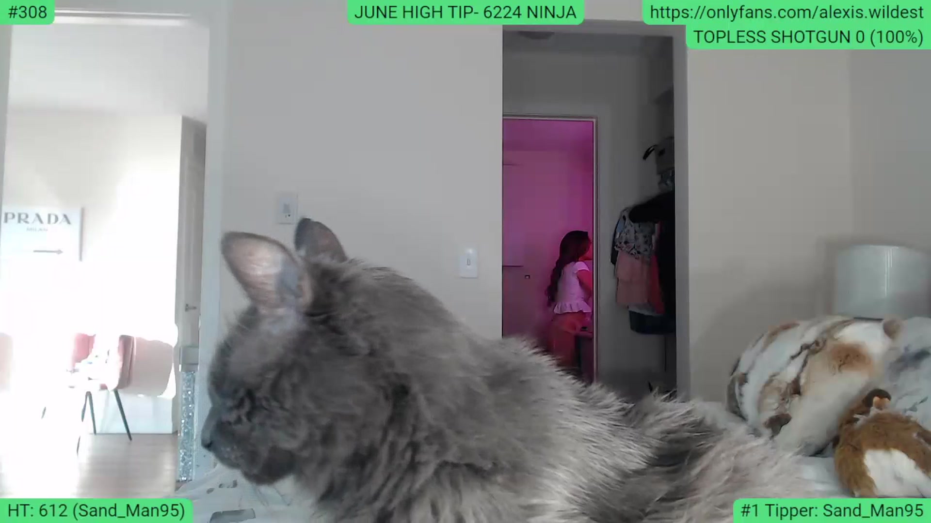 Gallery image thumbnail from AlexisWildest's myfreecams stream on, 06/29/2023, 02:20 image 15 of 20
