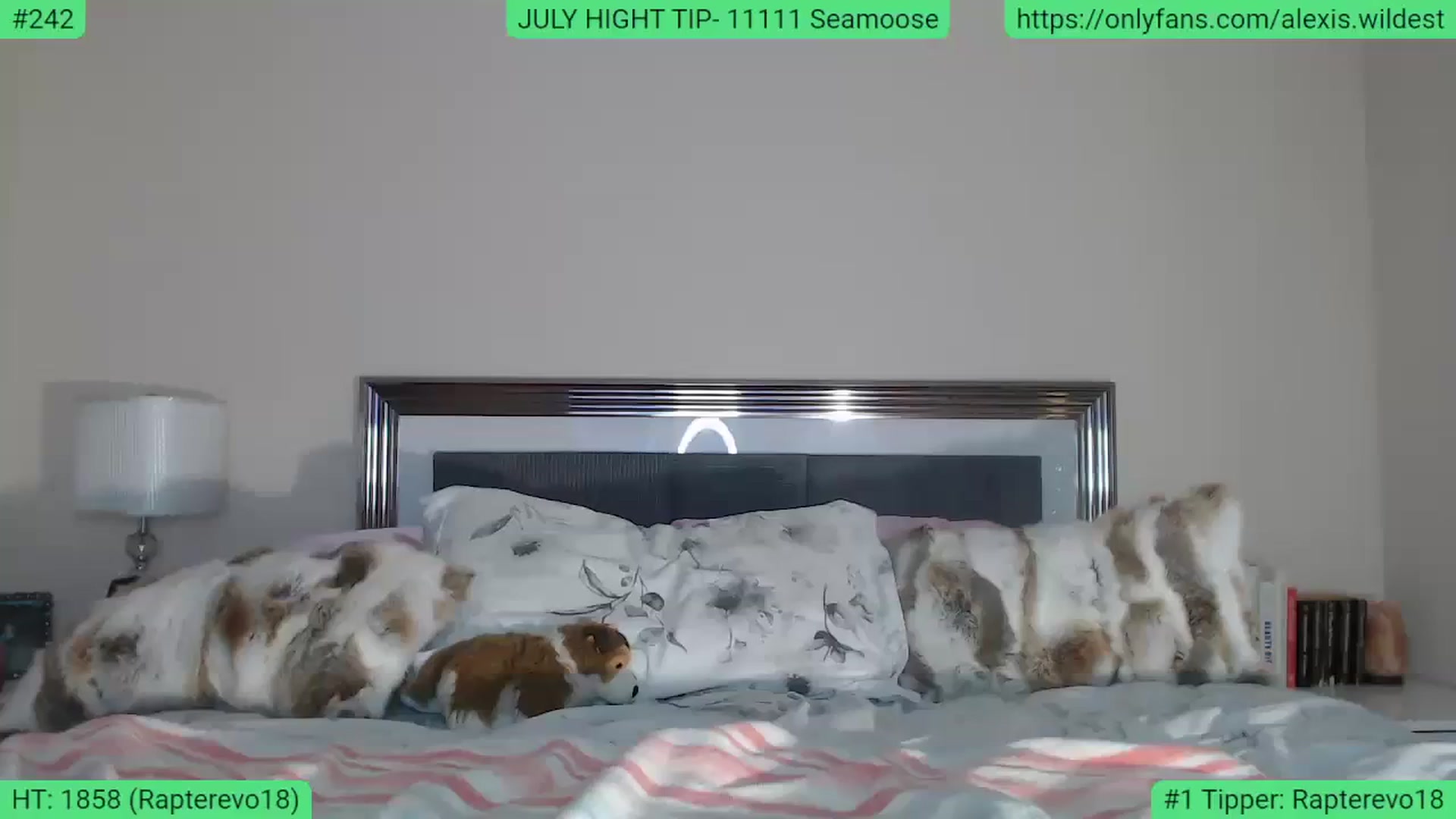 Gallery image thumbnail from AlexisWildest's myfreecams stream on, 07/29/2023, 05:36 image 11 of 20