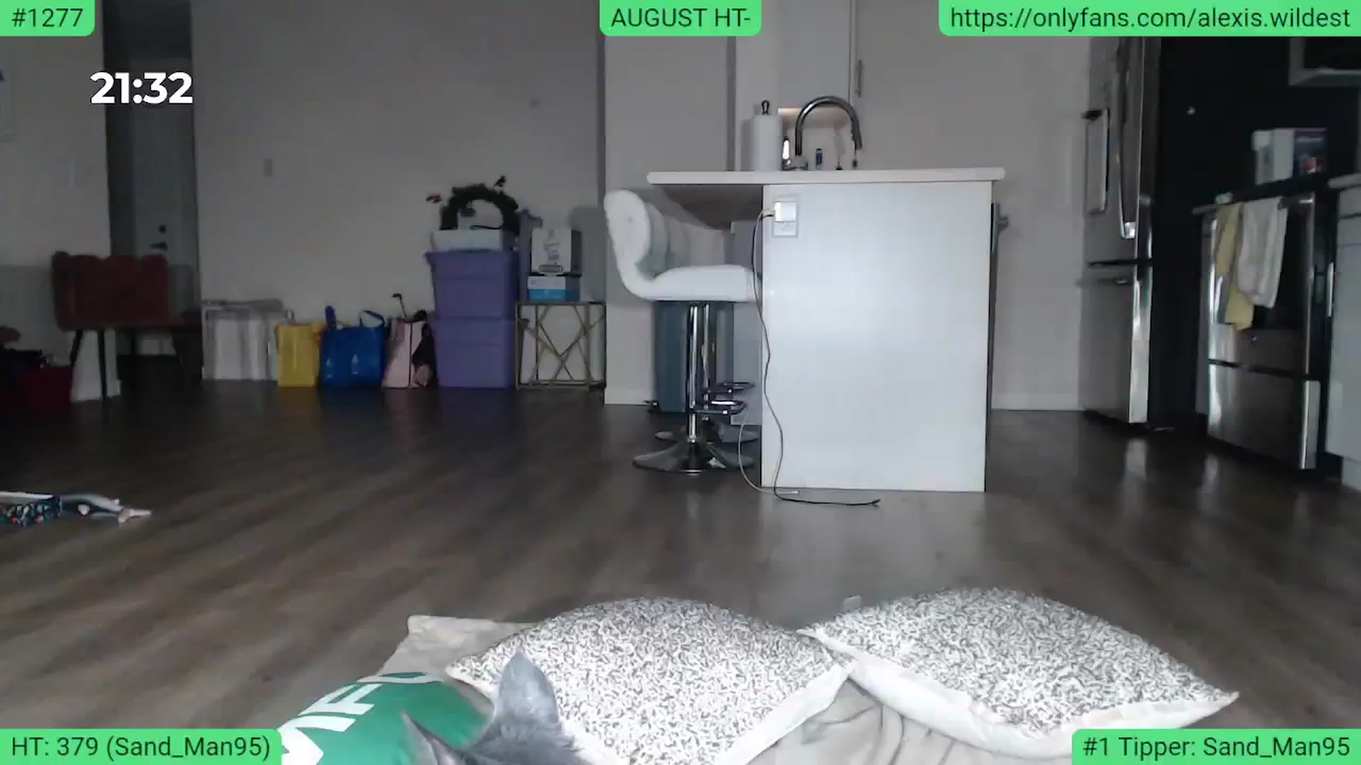 Gallery image thumbnail from AlexisWildest's myfreecams stream on, 08/09/2023, 04:07 image 16 of 20