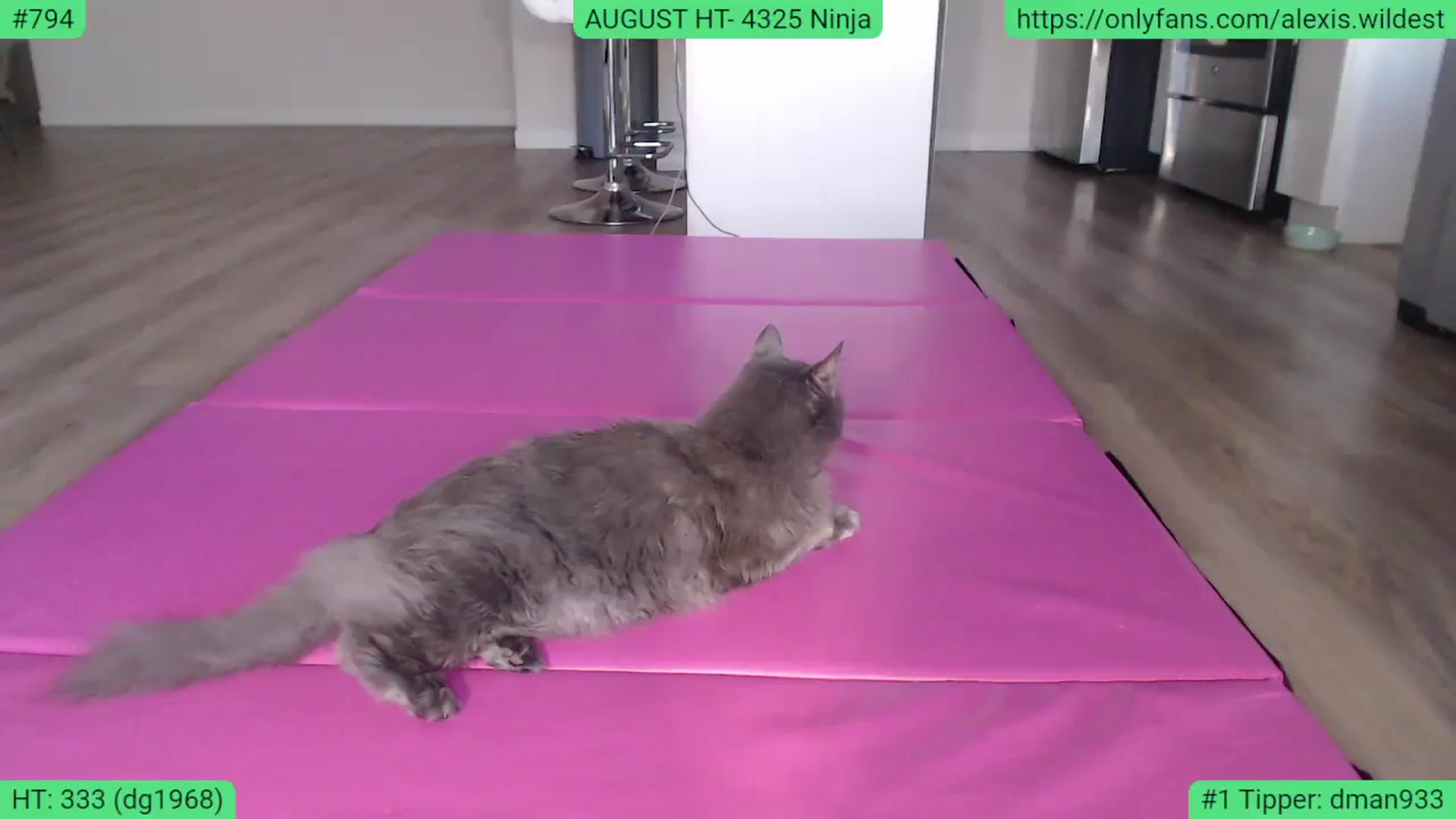 Gallery image thumbnail from AlexisWildest's myfreecams stream on, 08/15/2023, 02:36 image 17 of 20