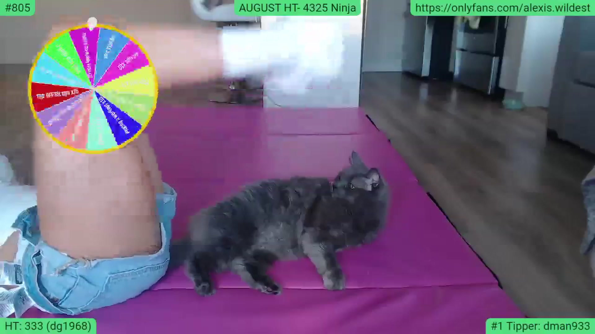Gallery image thumbnail from AlexisWildest's myfreecams stream on, 08/15/2023, 02:36 image 14 of 20