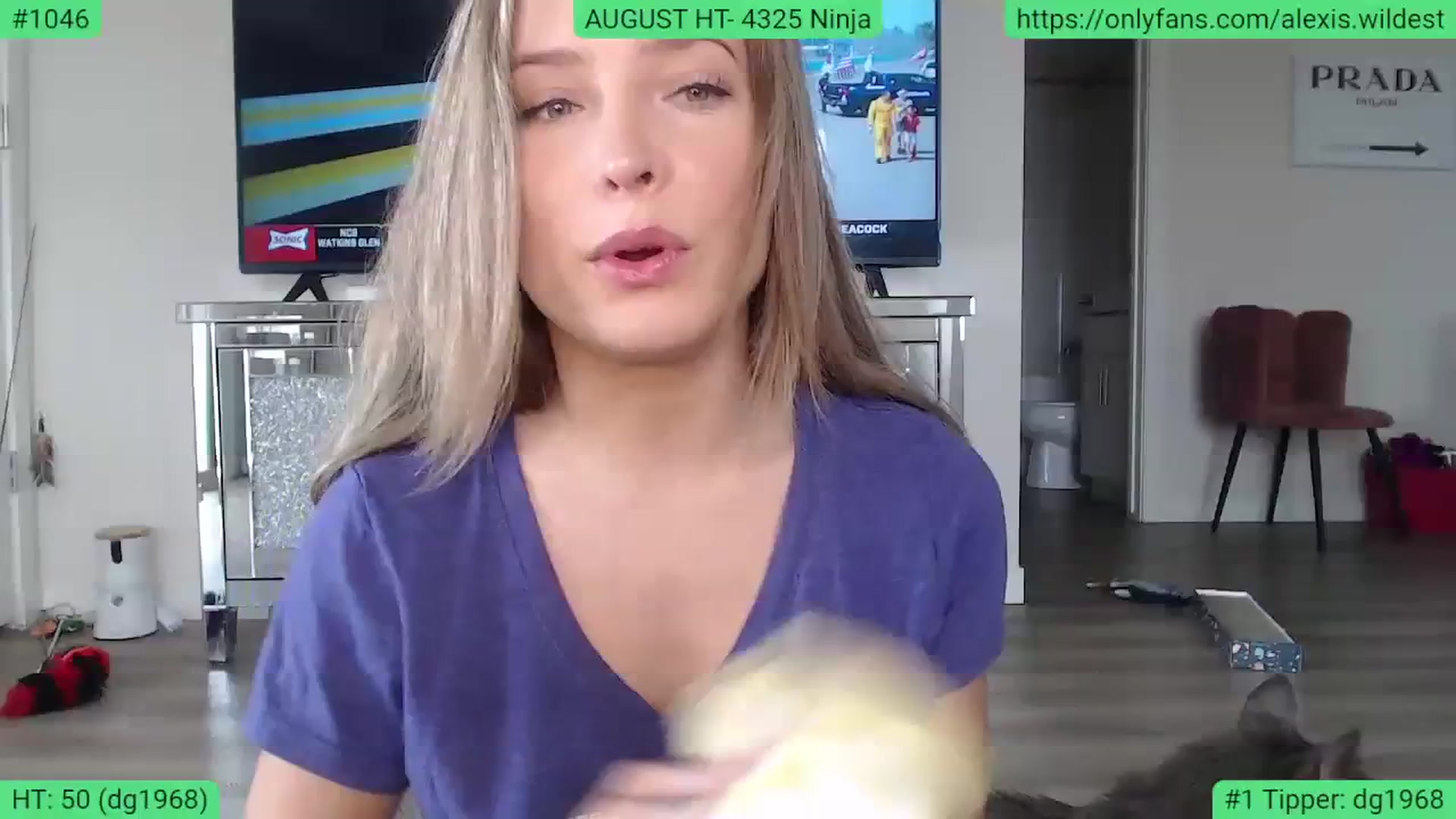 Gallery image thumbnail from AlexisWildest's myfreecams stream on, 08/20/2023, 22:04 image 3 of 20