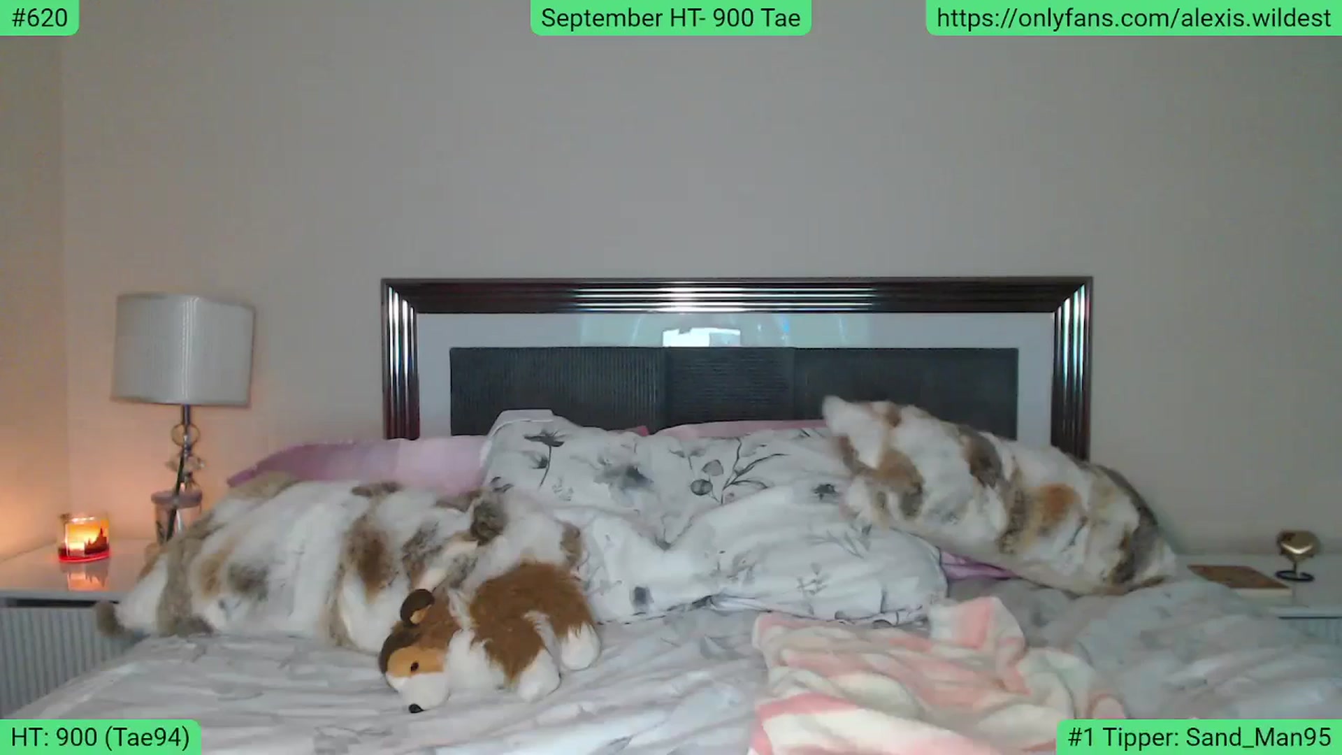 Gallery image thumbnail from AlexisWildest's myfreecams stream on, 09/03/2023, 03:12 image 18 of 20
