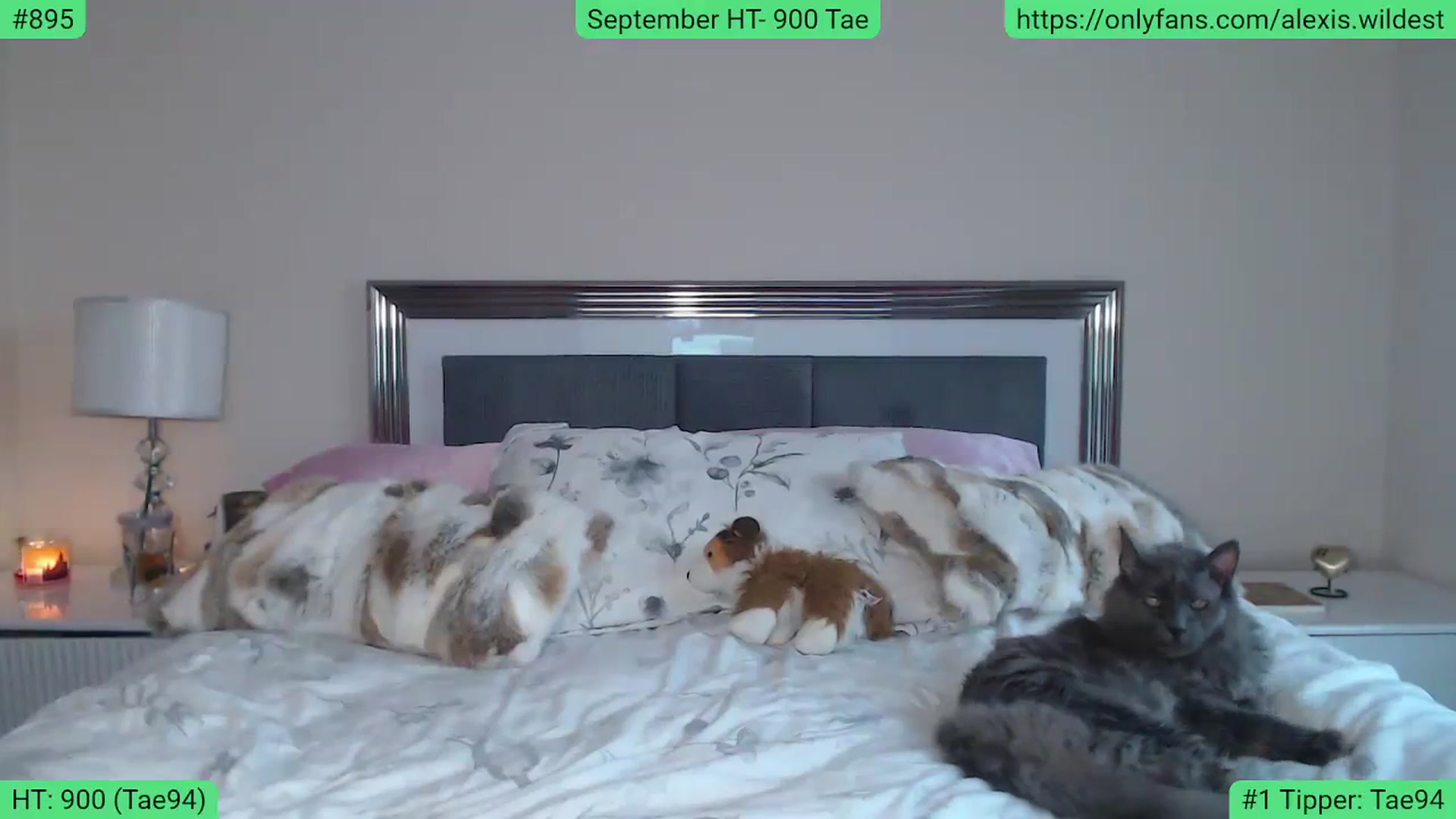 Gallery image thumbnail from AlexisWildest's myfreecams stream on, 09/03/2023, 03:12 image 6 of 20