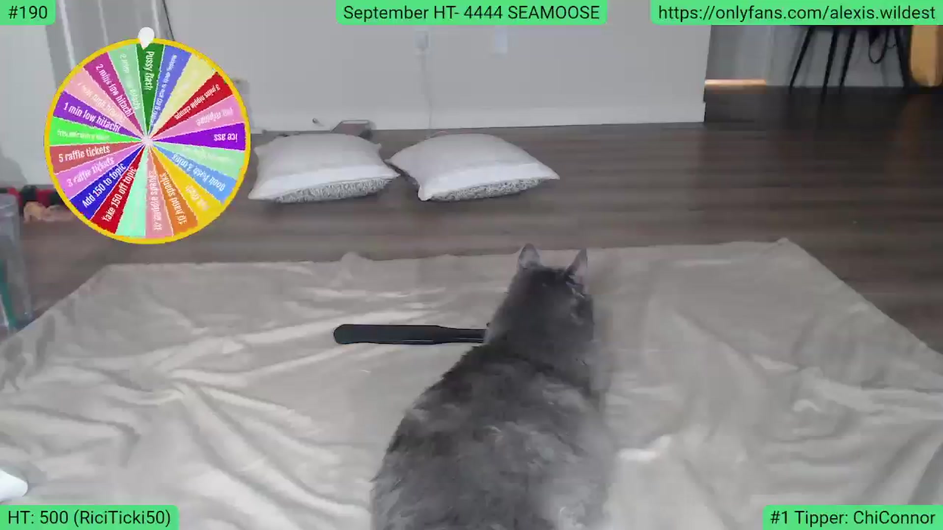 Gallery image thumbnail from AlexisWildest's myfreecams stream on, 09/10/2023, 04:30 image 15 of 20