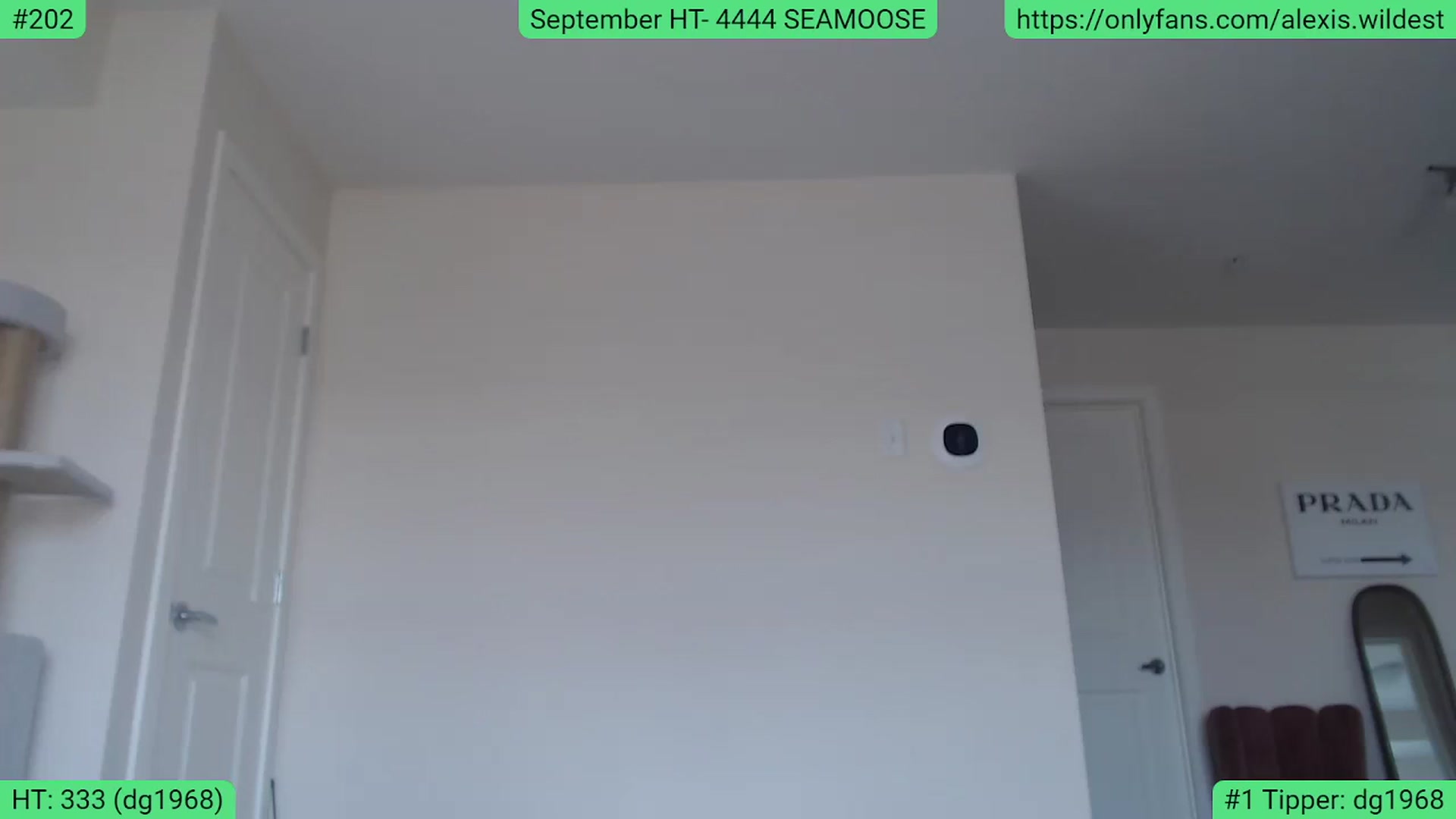 Gallery image thumbnail from AlexisWildest's myfreecams stream on, 09/10/2023, 19:13 image 16 of 20