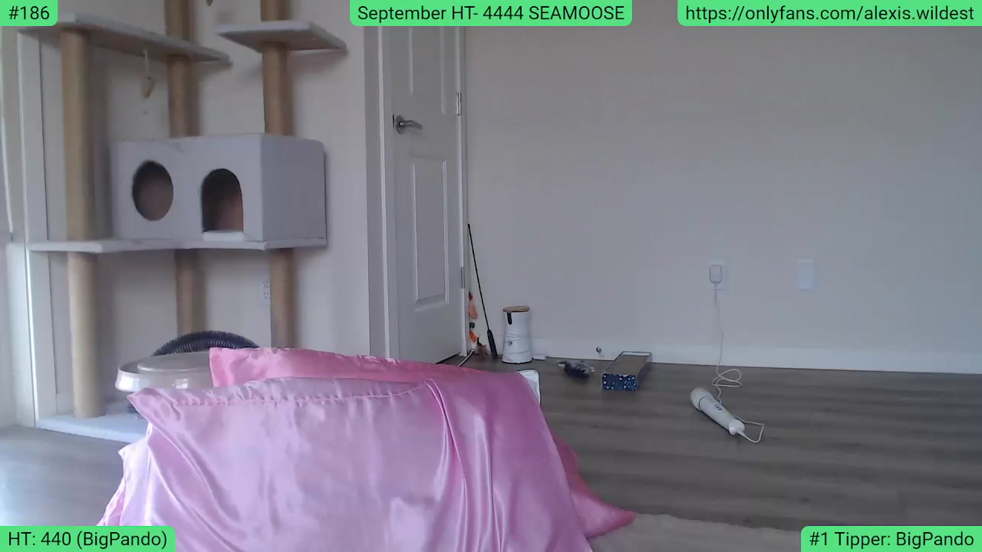 Gallery image thumbnail from AlexisWildest's myfreecams stream on, 09/10/2023, 21:25 image 7 of 20