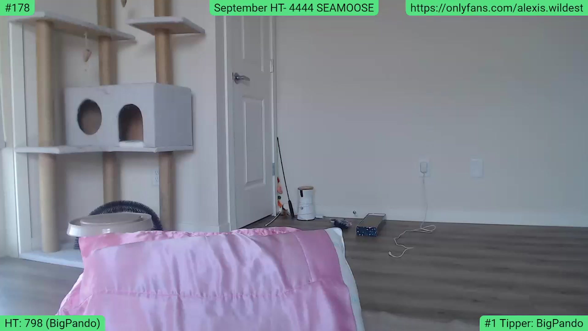 Gallery image thumbnail from AlexisWildest's myfreecams stream on, 09/10/2023, 22:39 image 1 of 20