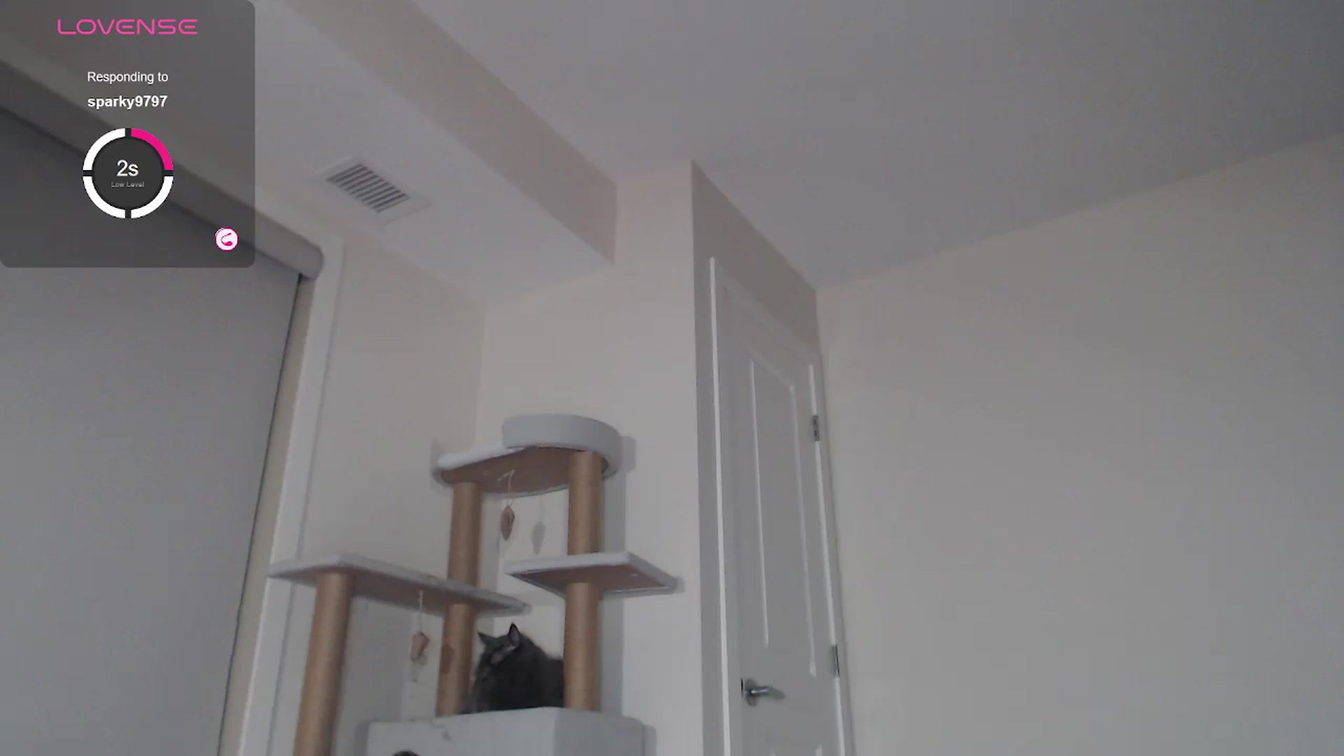 Gallery image thumbnail from AlexisWildest's myfreecams stream on, 09/12/2023, 02:35 image 16 of 20